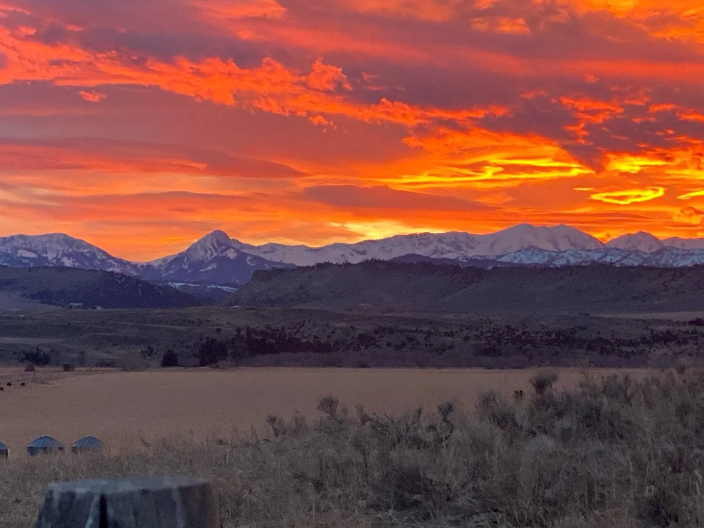I&rsquo;ve been rereading Pilgrim at Tinker Creek by Annie Dillard, and one line keeps coming back to me:

&ldquo;The creeks are the world with all its stimulus and beauty; I live there. But the mountains are home.&rdquo;

Living outside Clyde Park a