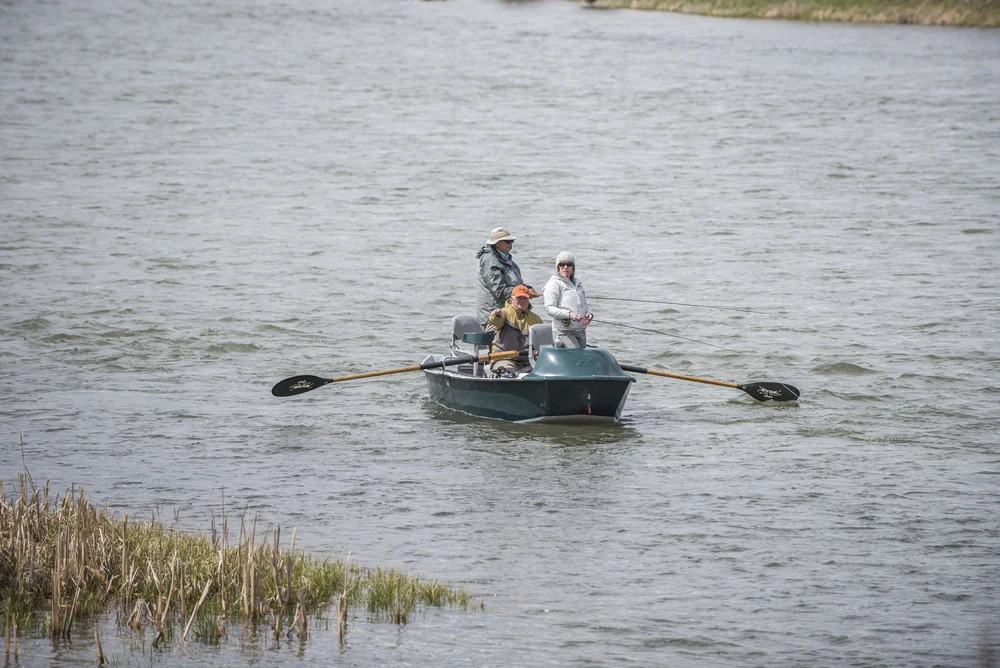 Guided drift boat fly fishing on the Lower Madison River in Montana during spring conditions.