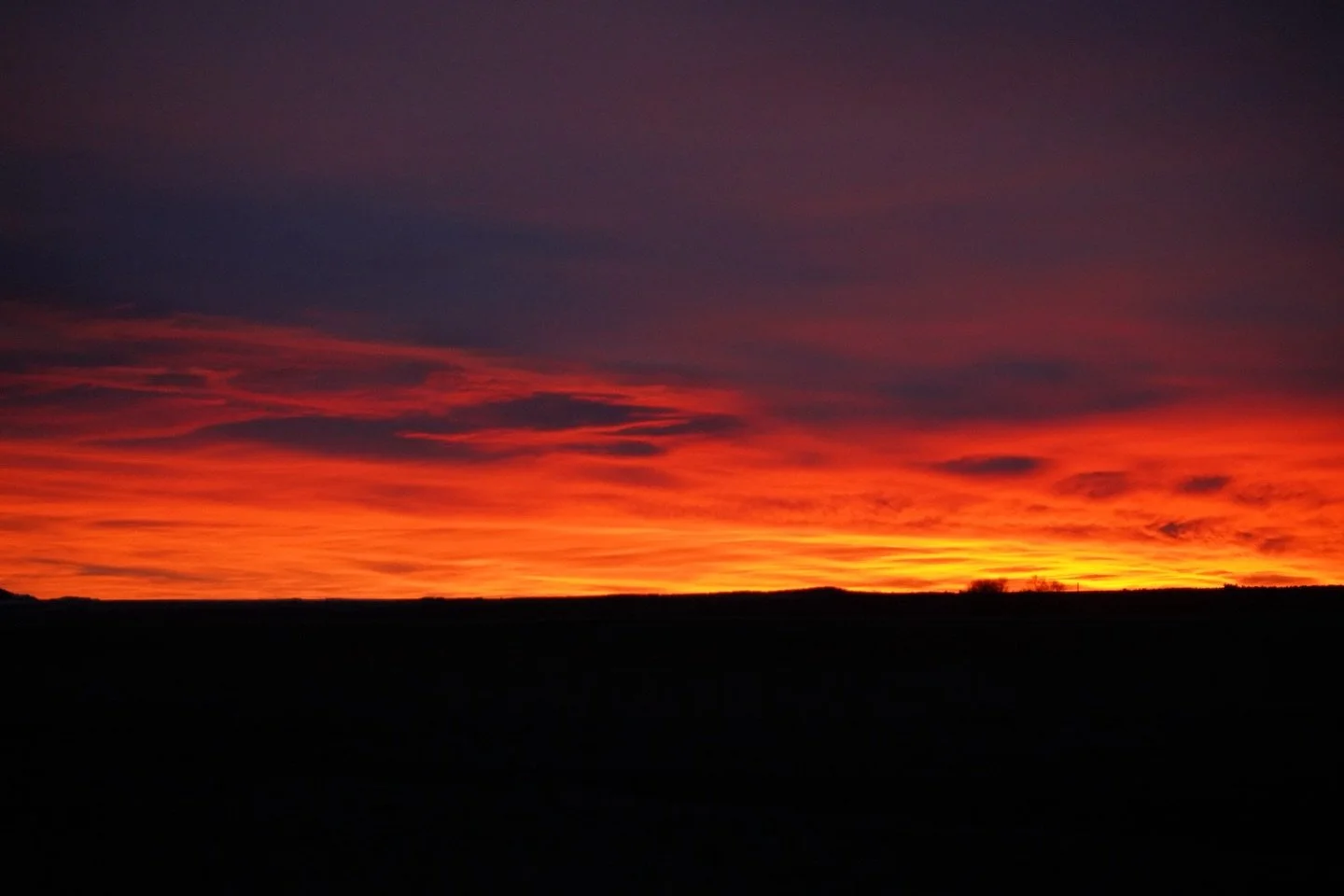 Woke up to a Shields River sunrise. Now I am motivated.
 
#ShieldsRiver #OnTheWater #sunrise #mindfulness #swansflyfishing