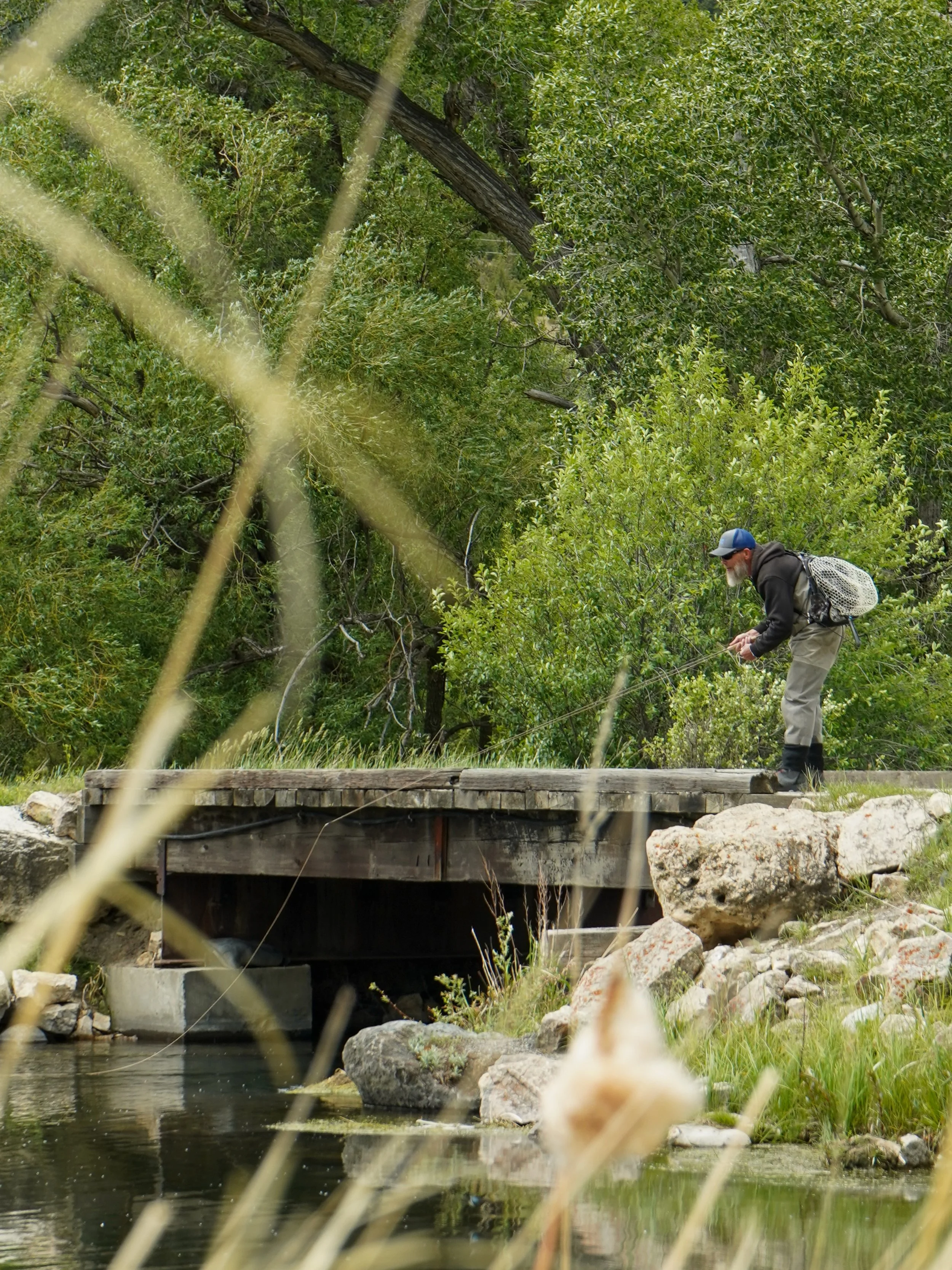 Dry fly fishing on DePuy&rsquo;s Spring Creek in Paradise Valley, Montana.

This angler was focused on a single rising trout. From a distance it looks simple. A few feet off on the cast or a little drag in the drift is often enough to put them down.
