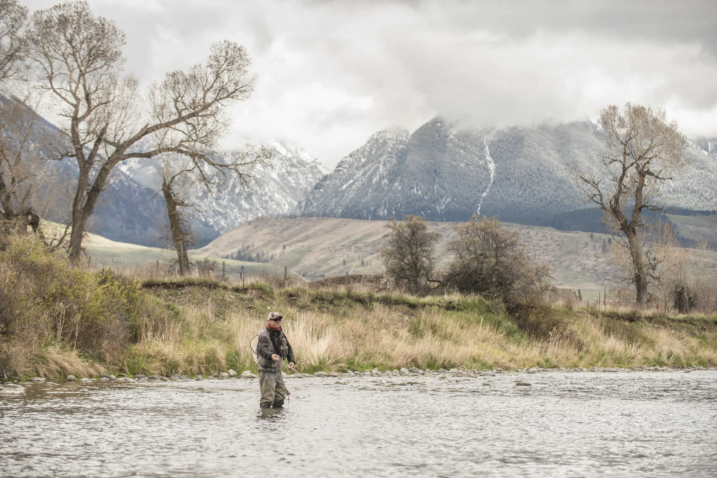 Angler wading a Paradise Valley spring creek below the Absaroka Mountains in late fall