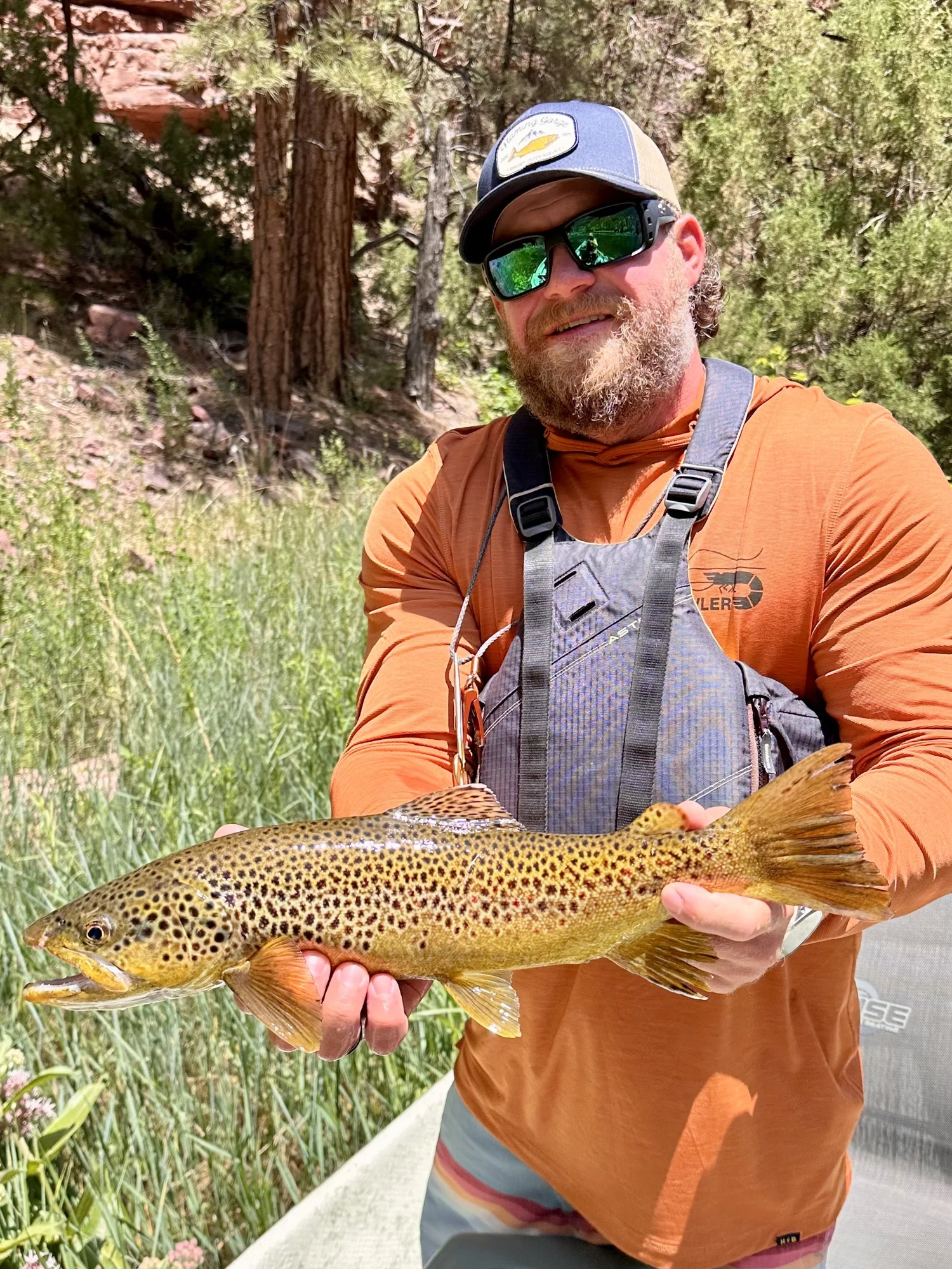 Dewey Seibert, Paradise Valley Montana fly fishing guide, holding a brown trout on the Yellowstone River