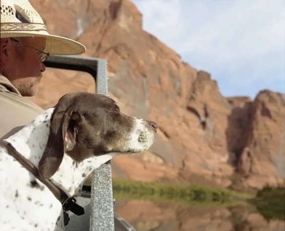 Fly fishing guide on the Colorado River at Lees Ferry, Arizona, looking up canyon walls in early morning light