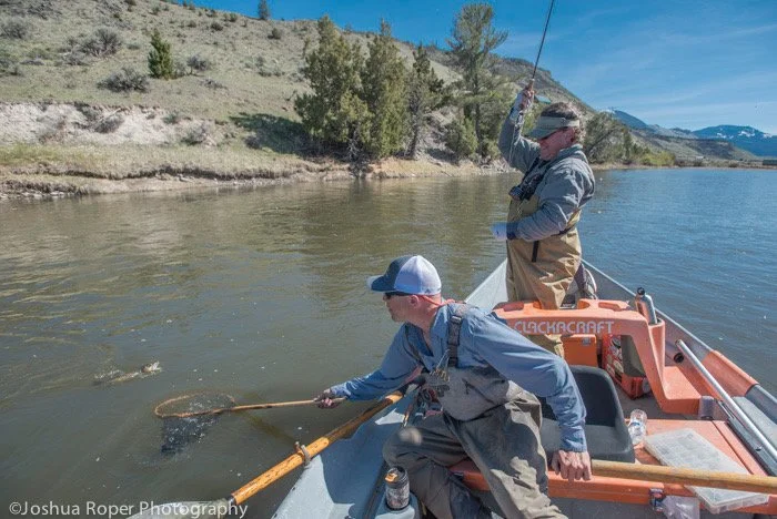 Guided spring fly fishing trip drifting the Madison River in Montana