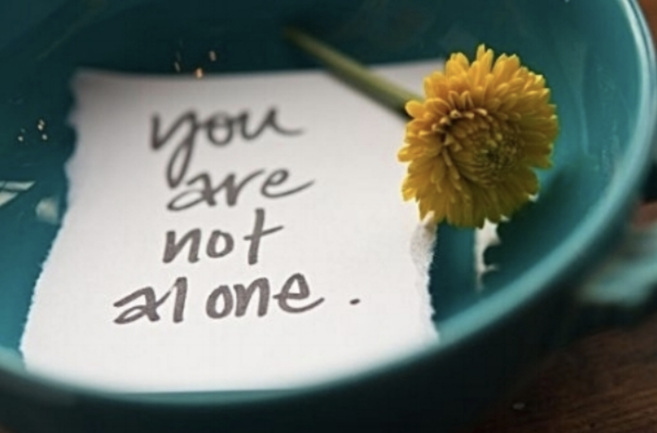 Screen Shot 2019-02-23 at 2.45.42 PM.png