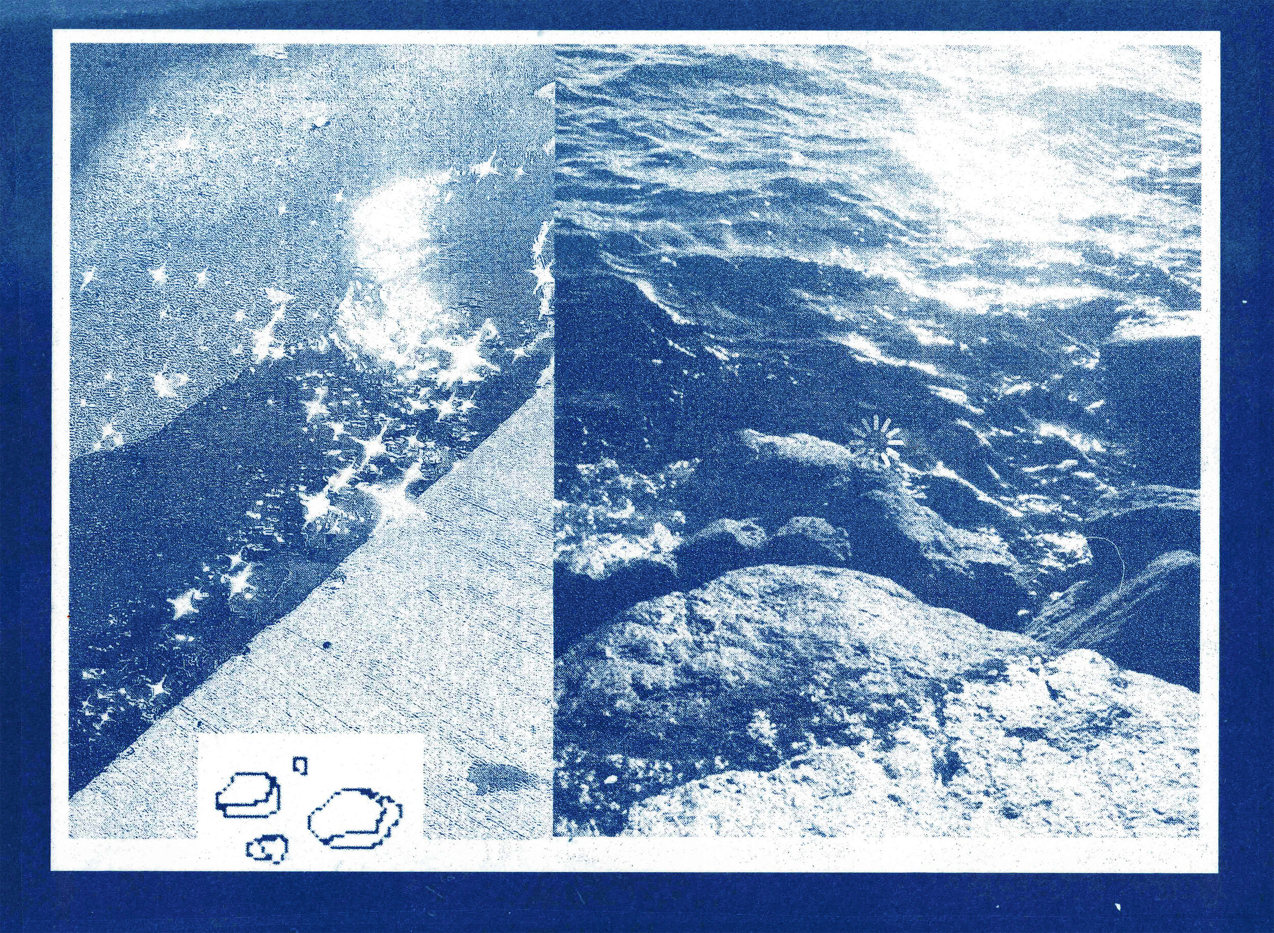   Cyanotype No. 28_Summer 2020  cyanotype on Strathmore bristol paper, 270 gsm 8.5 x 5.5 in. (21.6 x 14 cm.) unique print 2020 
