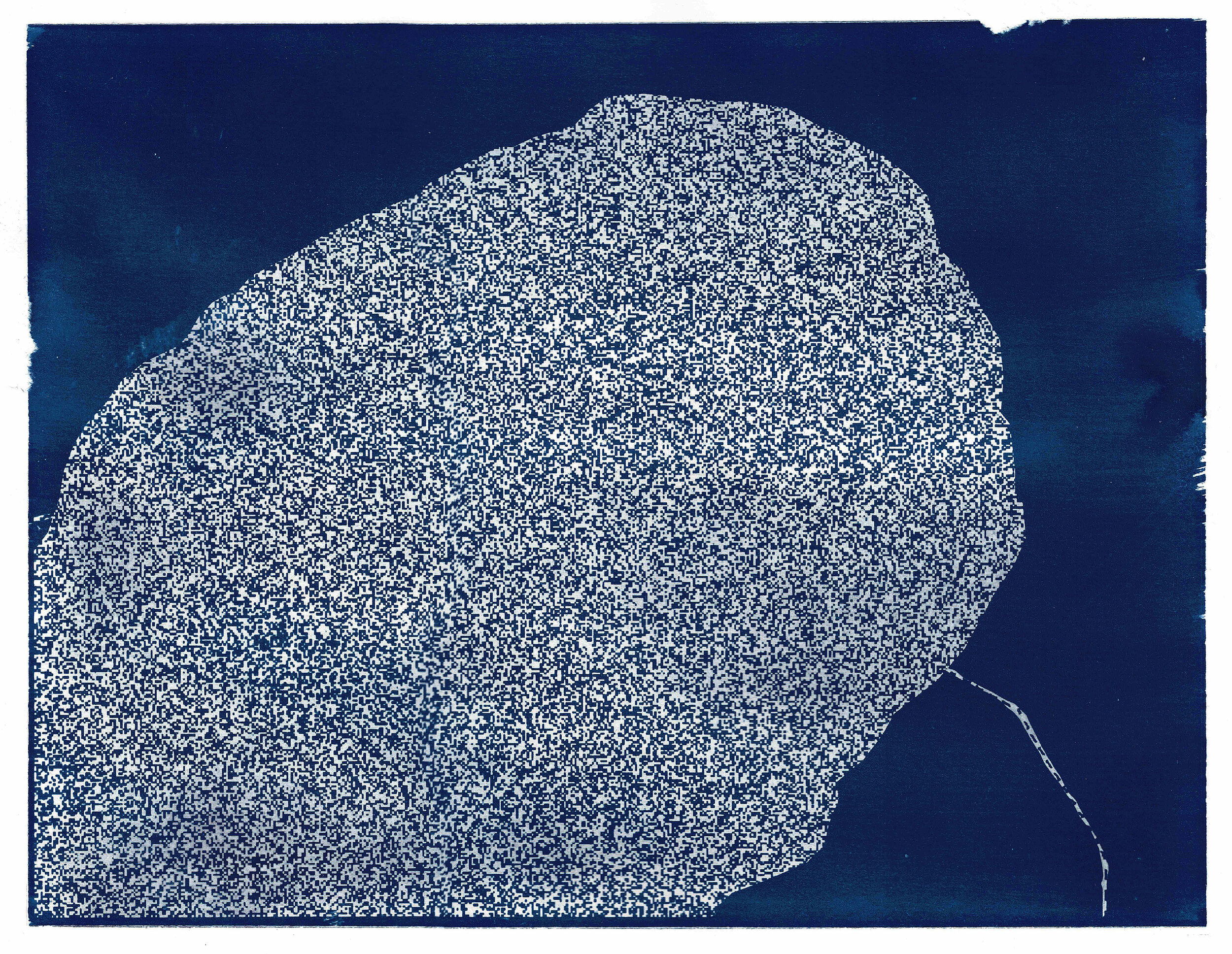   Cyanotype No. 23_Summer 2020  cyanotype on Strathmore bristol paper, 270 gsm 12 x 9 in. (30.5  x 23 cm.) variant edition of 3 2020 