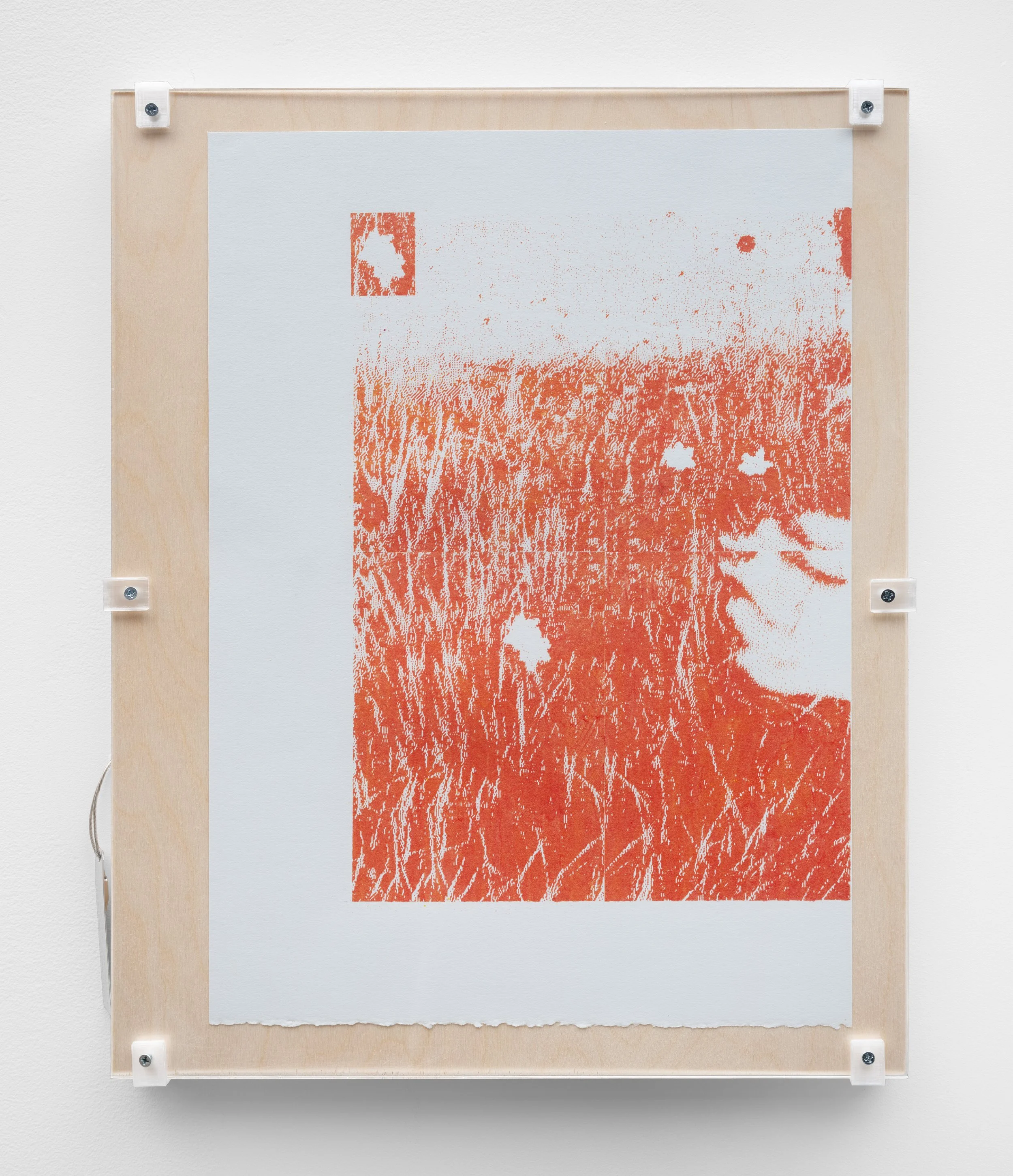   save.ditto4_kk.25_01  Pigment transfer on paper, wood, PETG, plexiglass, aluminum tag 20.25 x 16.25 x 1.125 inches 2025 