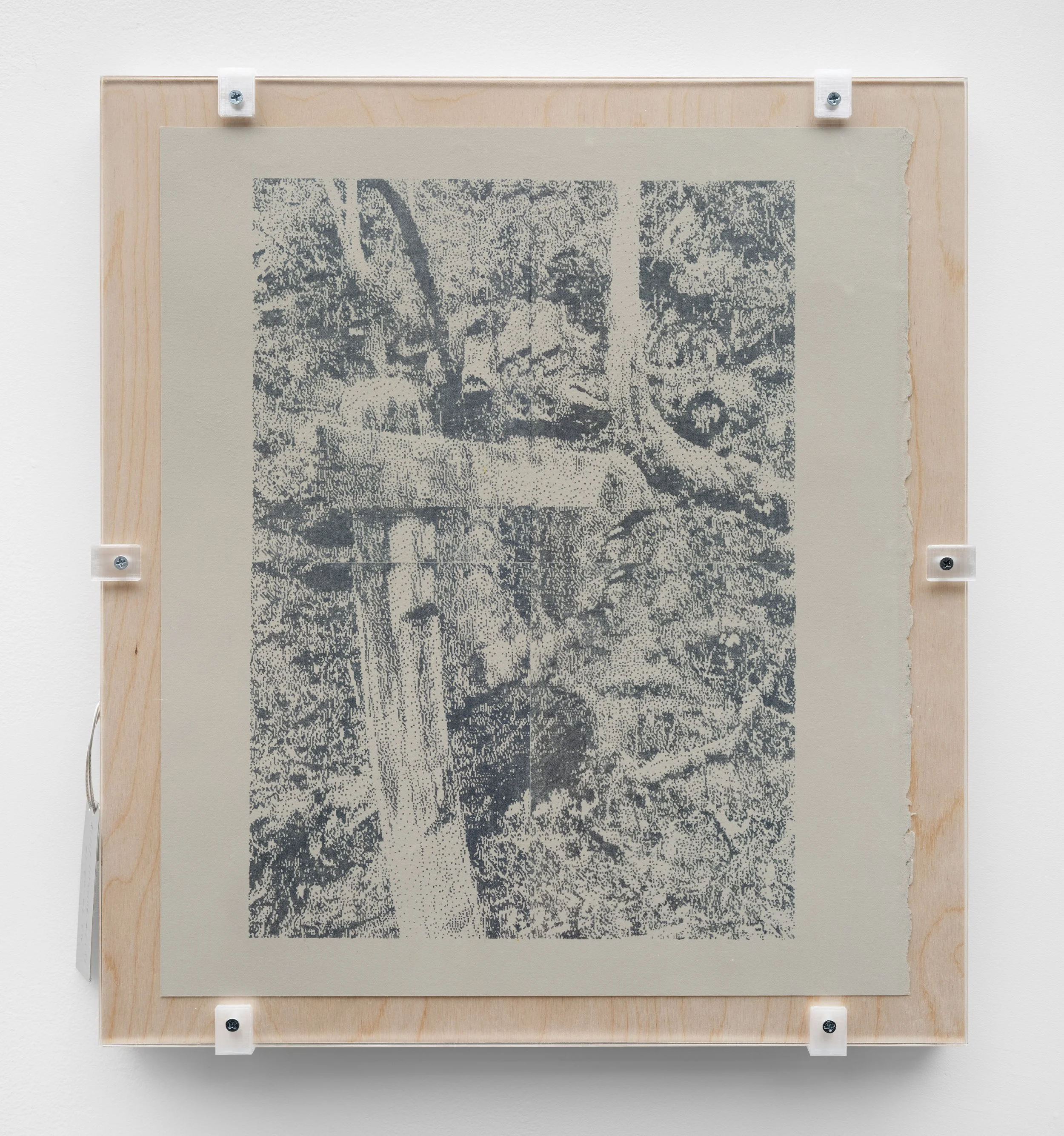   save.ditto9_kk.25_01  Pigment transfer on wood, PETG, aluminum tag, plexiglass 18.25 x 16.25 x 1.125 inches  2026 