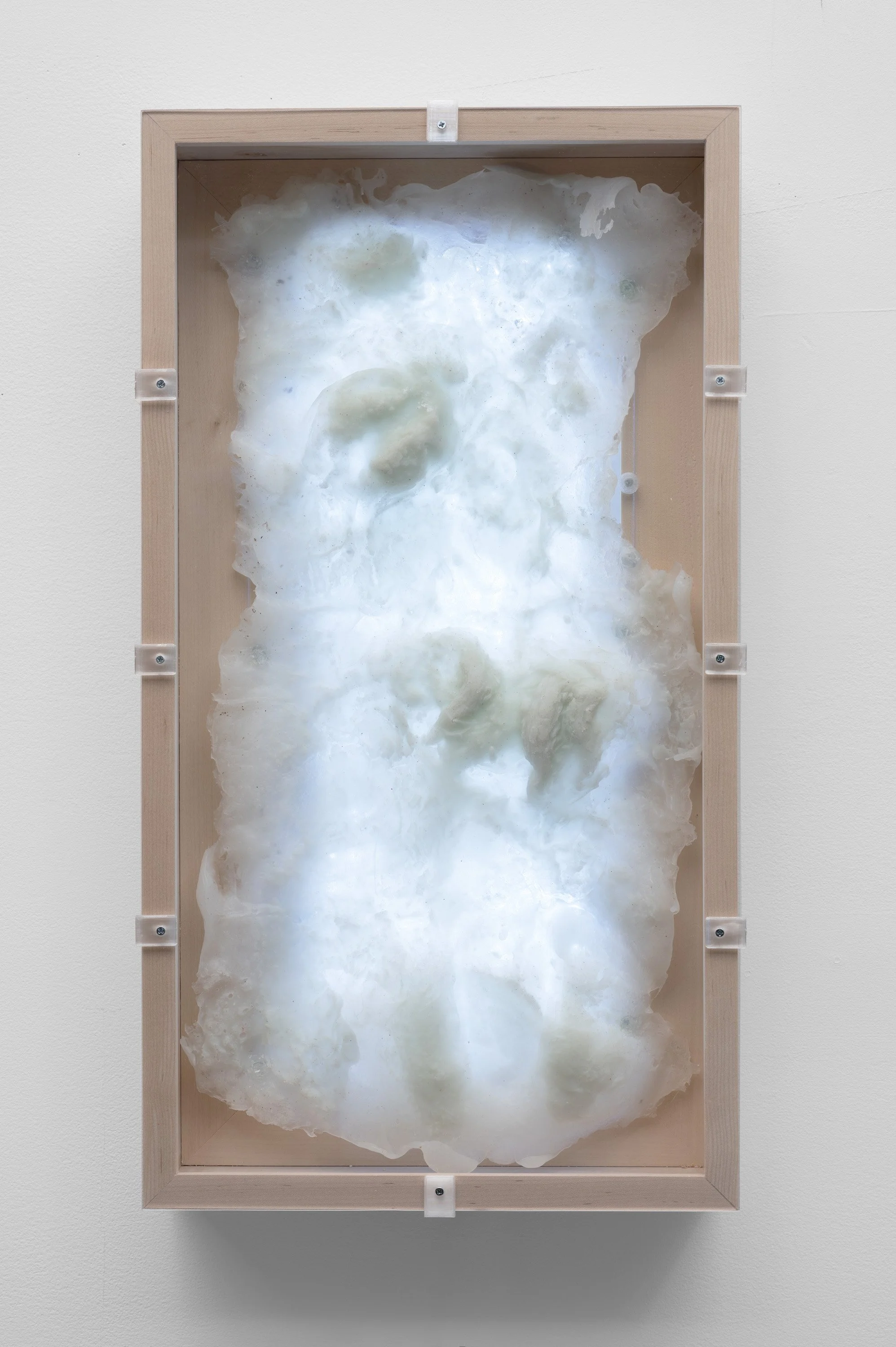   save.sil2_kk.25_01  Silicone print, LEDs, PETG, plexiglass 24.1875 x 13.25 x 3.25 inches 2026 