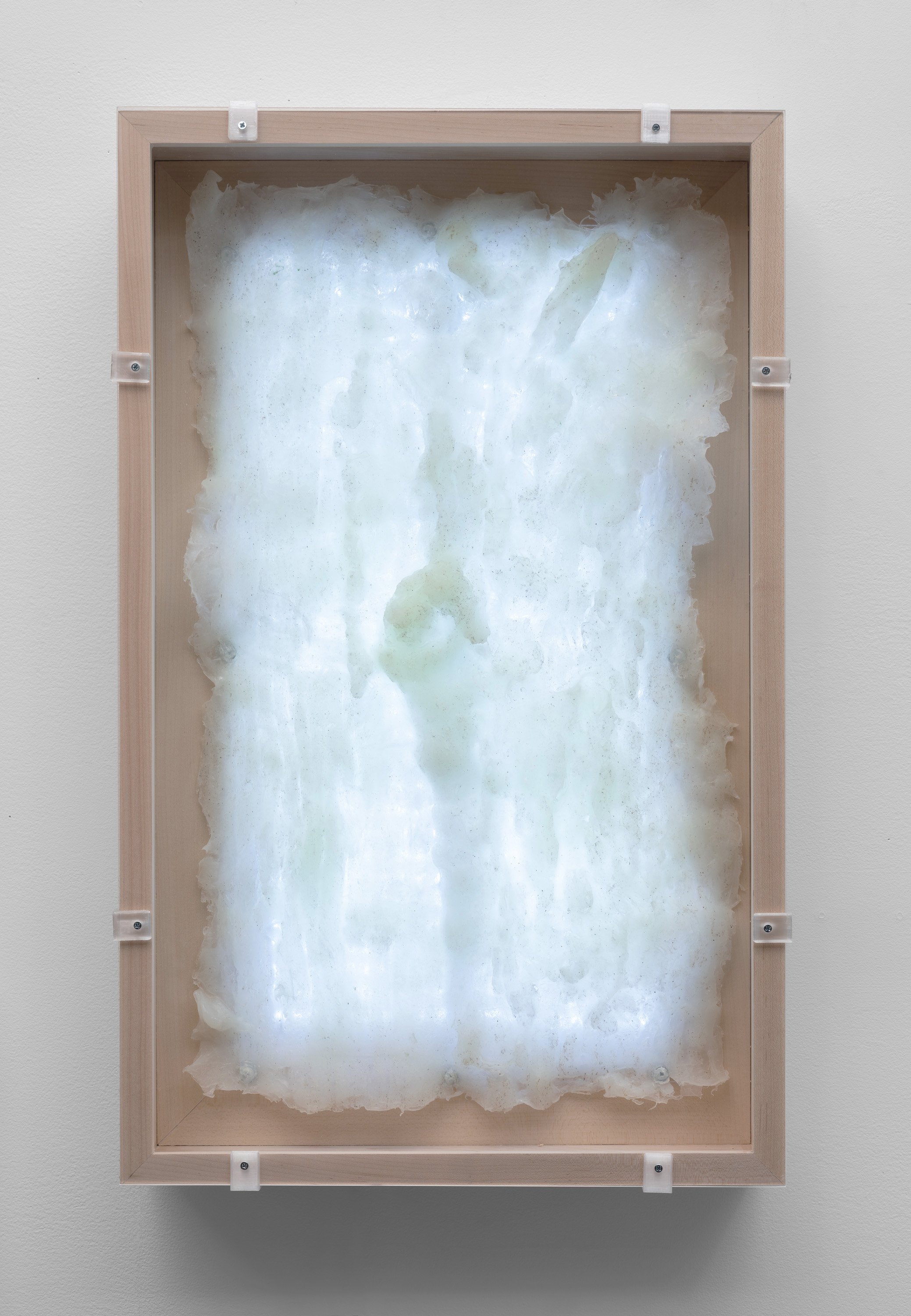   save.sil.1_kk.25_01  Silicone print, LEDs, PETG, plexiglass 25 x 15.75 x 3.25 inches 2026 