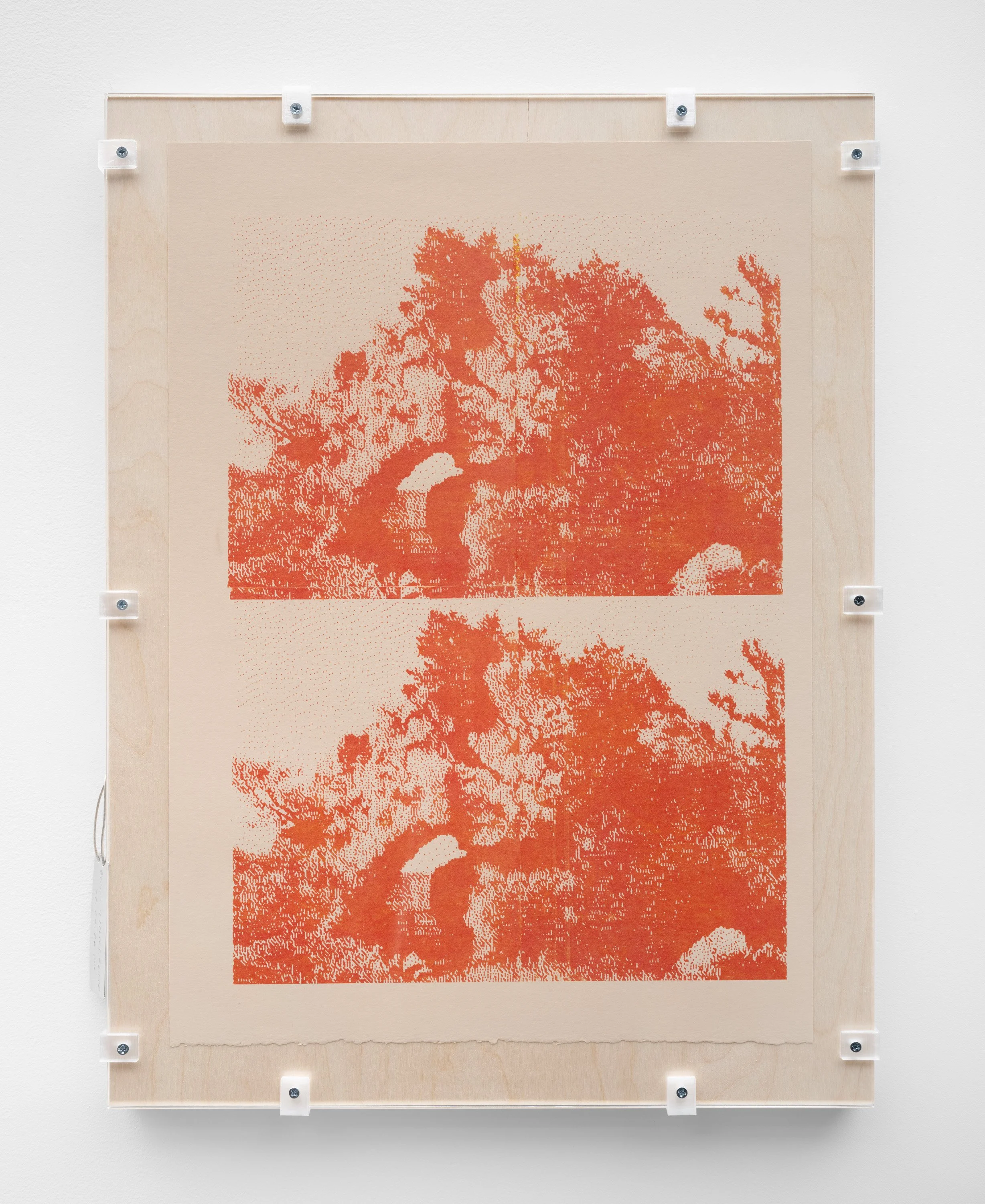   save.ditto7_kk.25_01  Pigment transfer on paper, wood, PETG, aluminum tag, plexiglass 24.25 x 18.25 x 1.125 inches 2025 