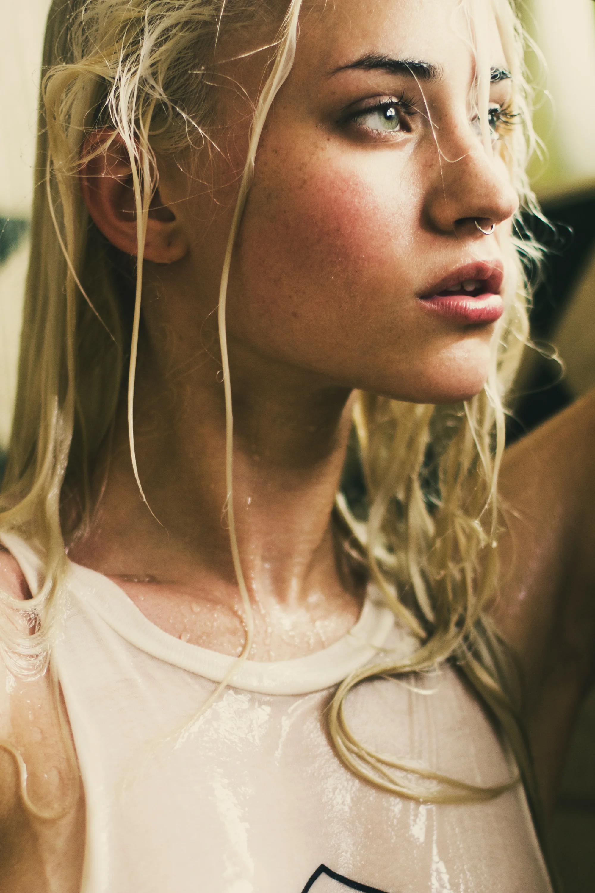 SHADYhb-141crop.jpg