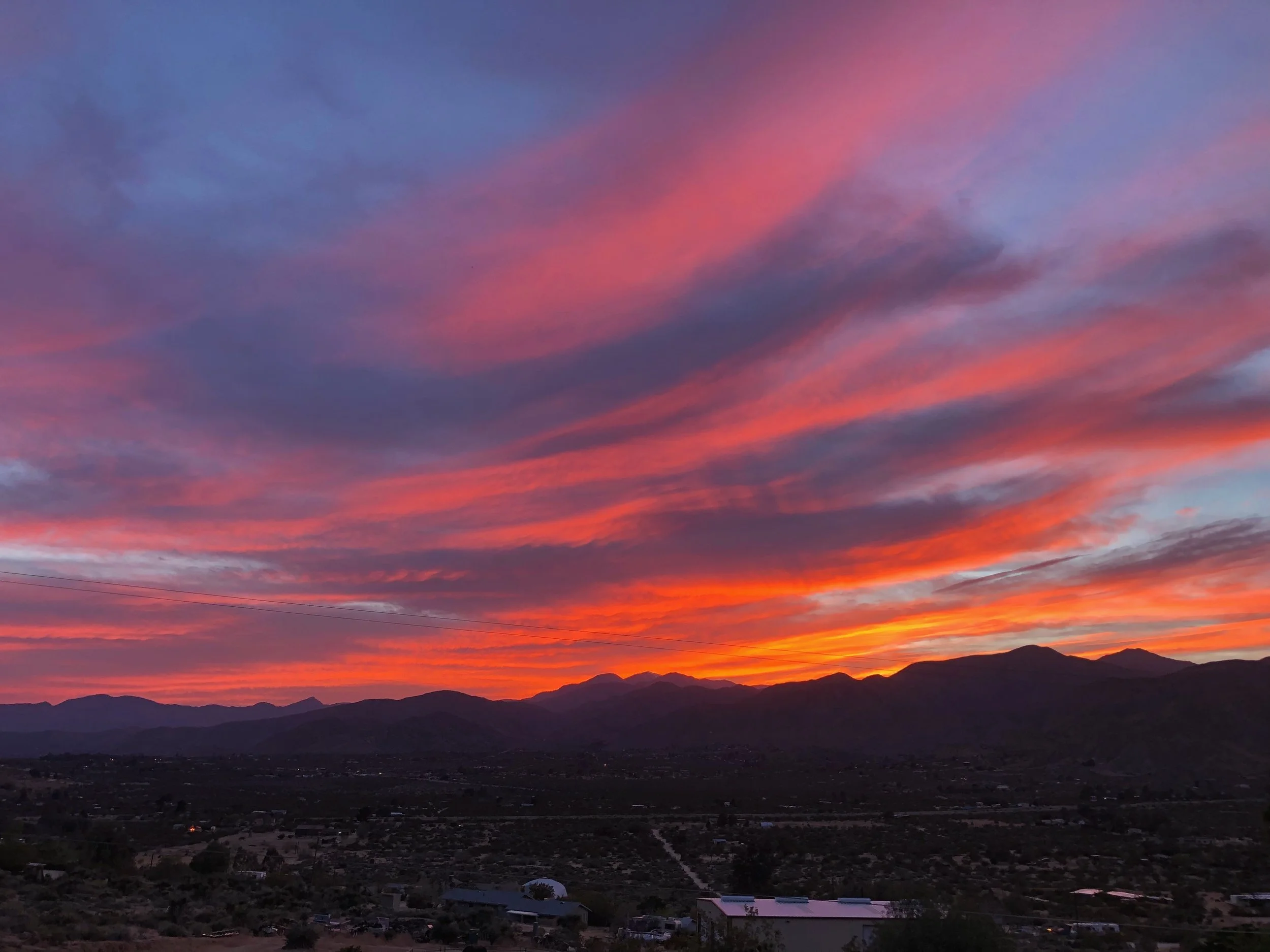 Desert_Son use #desert_son to be featured by us! #yuccafest