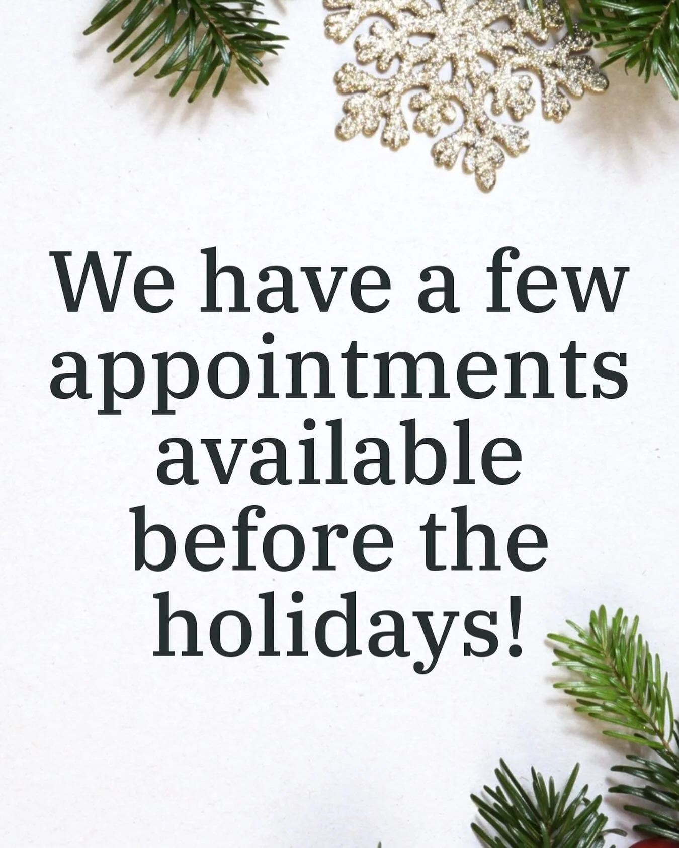 Last chance to get a holiday hair glow up! Link in bio to book!