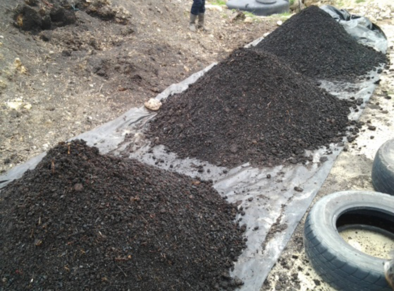RM18 biochar stacks.jpg