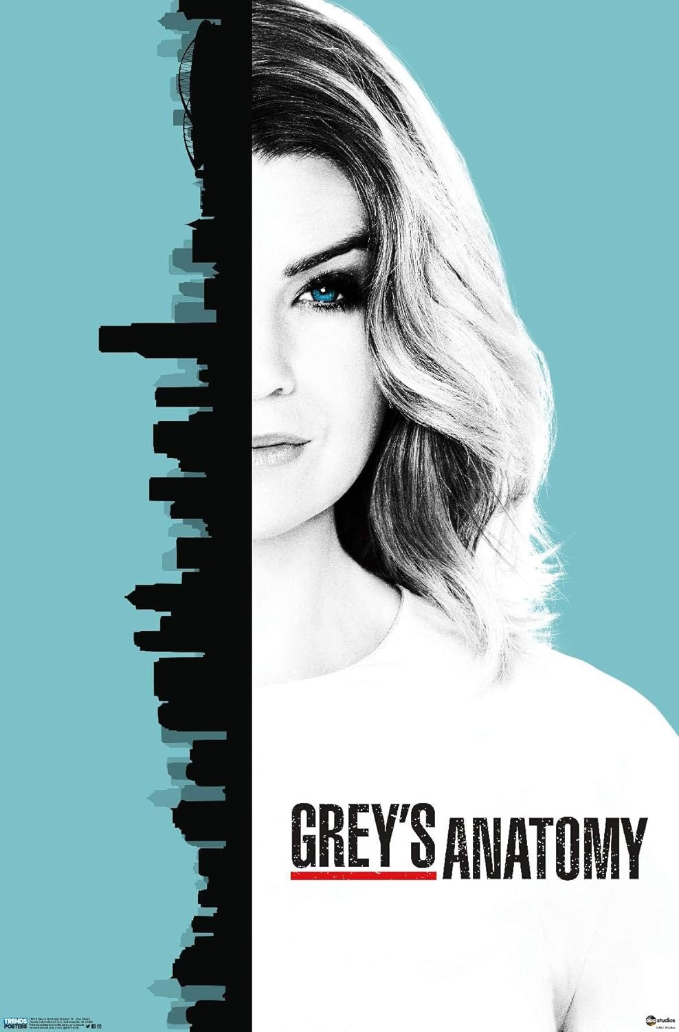 Grey's Anatomy poster.jpeg