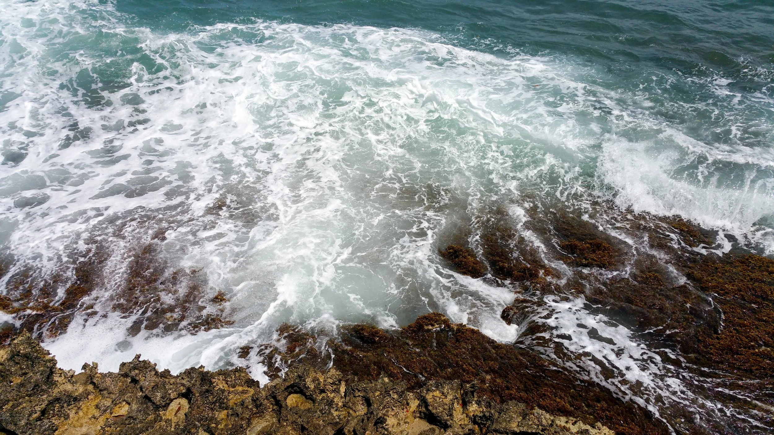 20150525_110025_edited.jpg