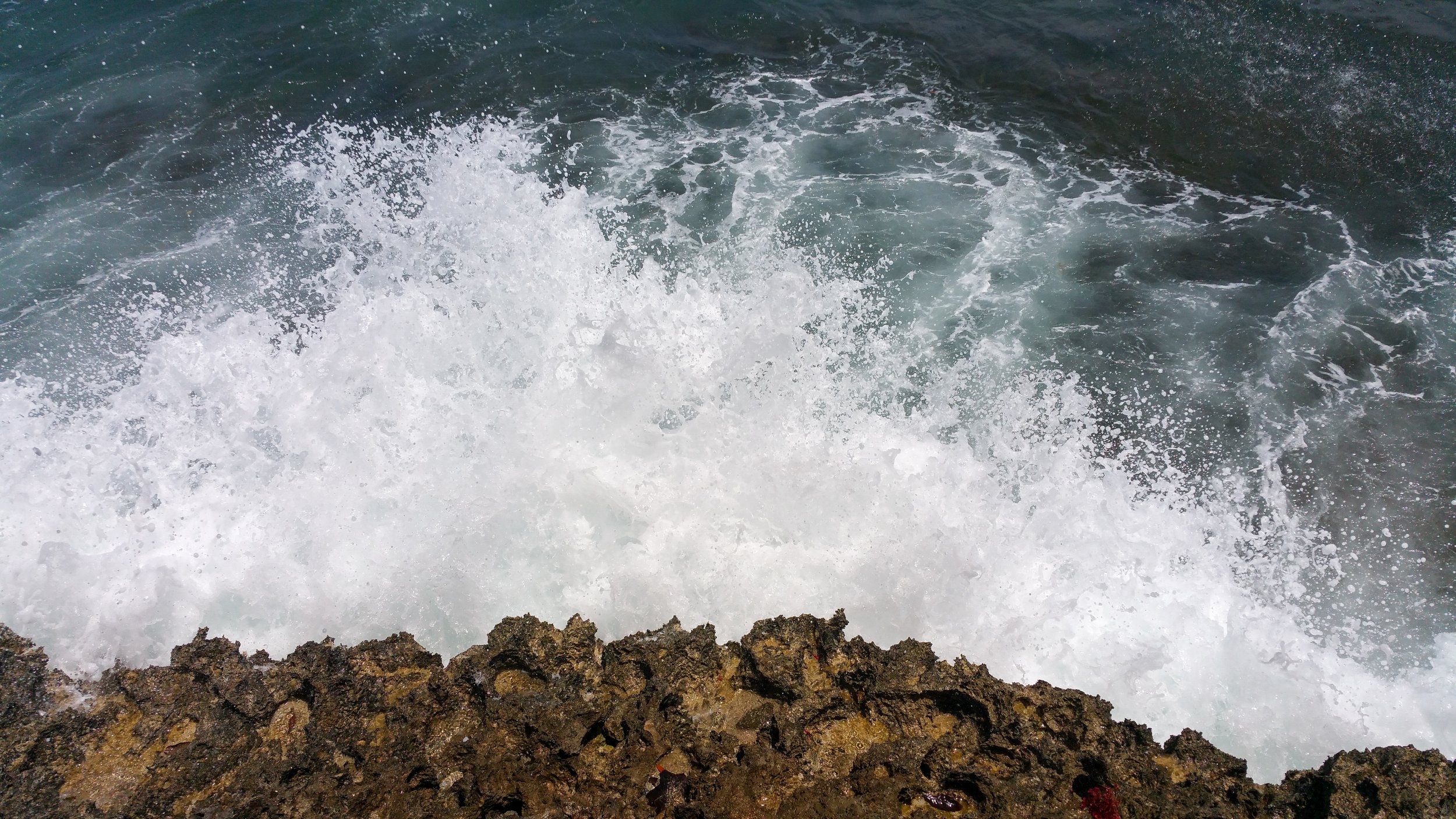 20150525_110018_edited.jpg
