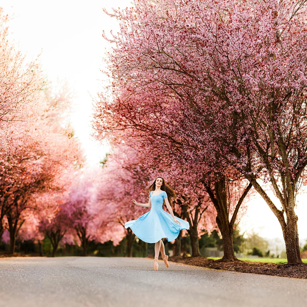 Panoramic Portraits — Ariella Noelle Photography