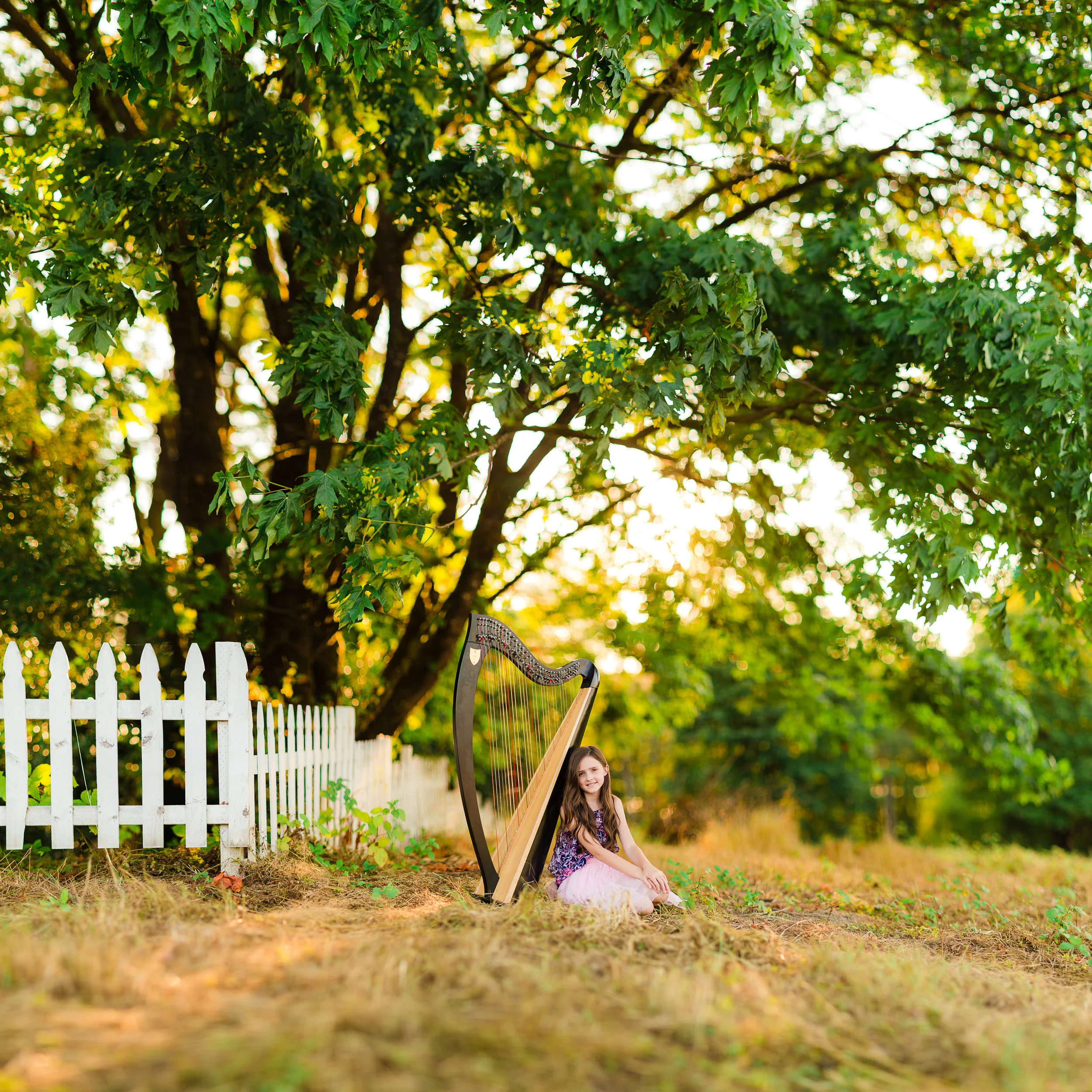 Canon 85mm 1.2, @F1.2, 1/1600, ISO 200 (25 images stitched together)