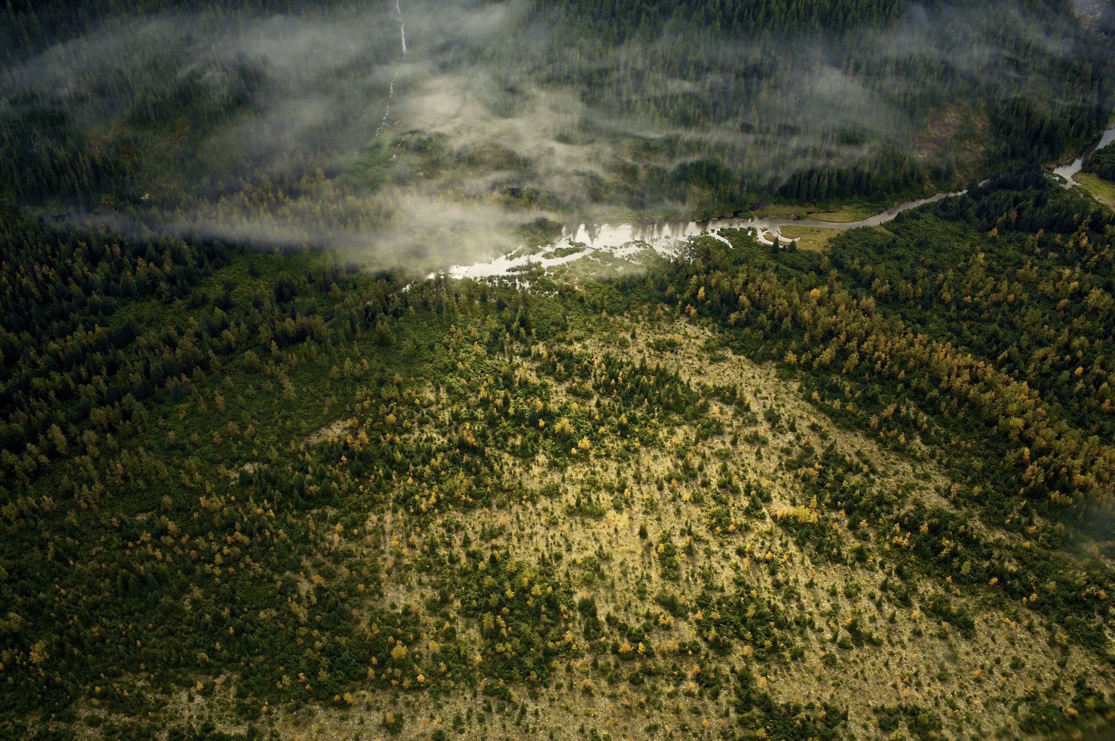 Alaska 207 (1).jpg