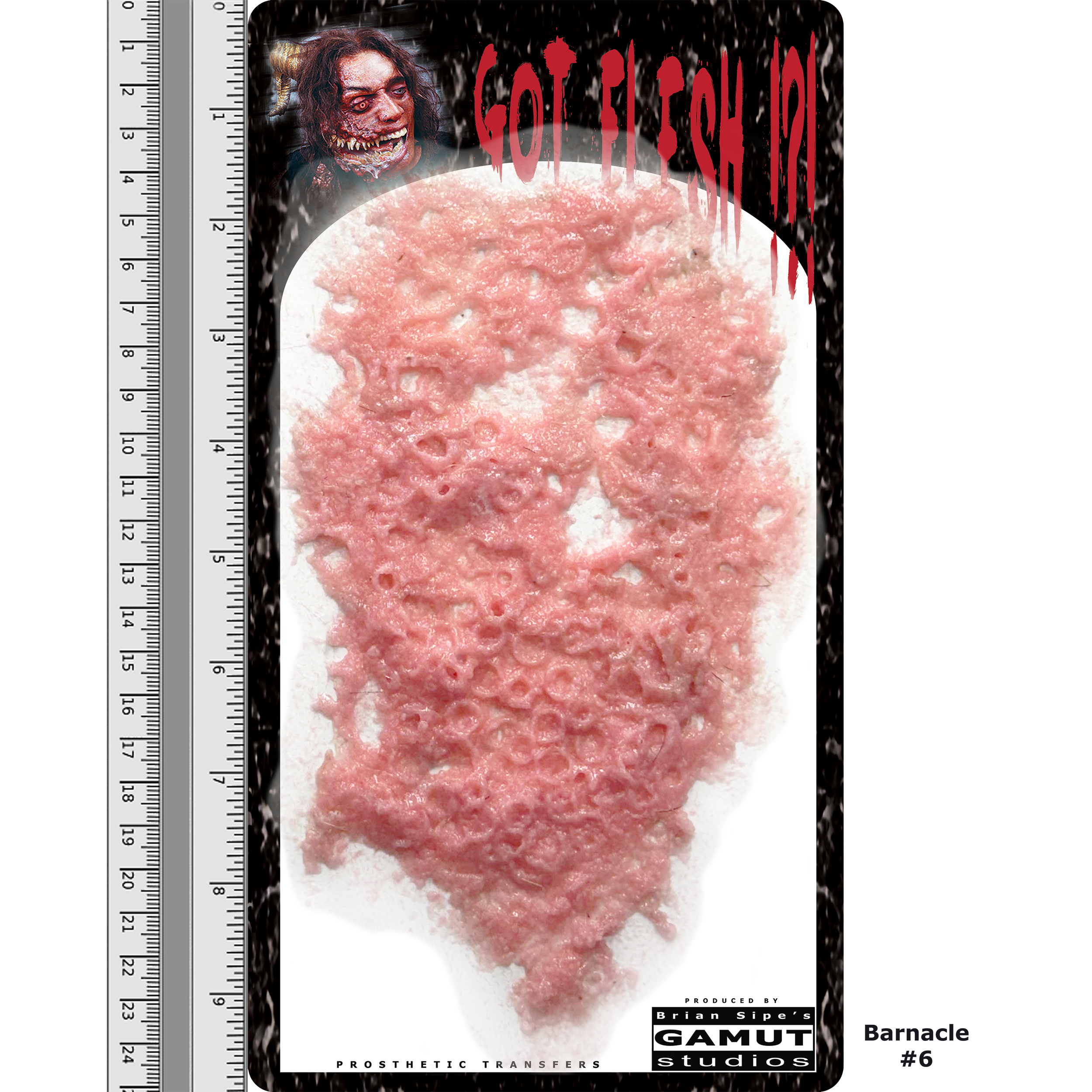 GFCR031 - Barnacle 6  - 2.9.2025 - DDL03.png