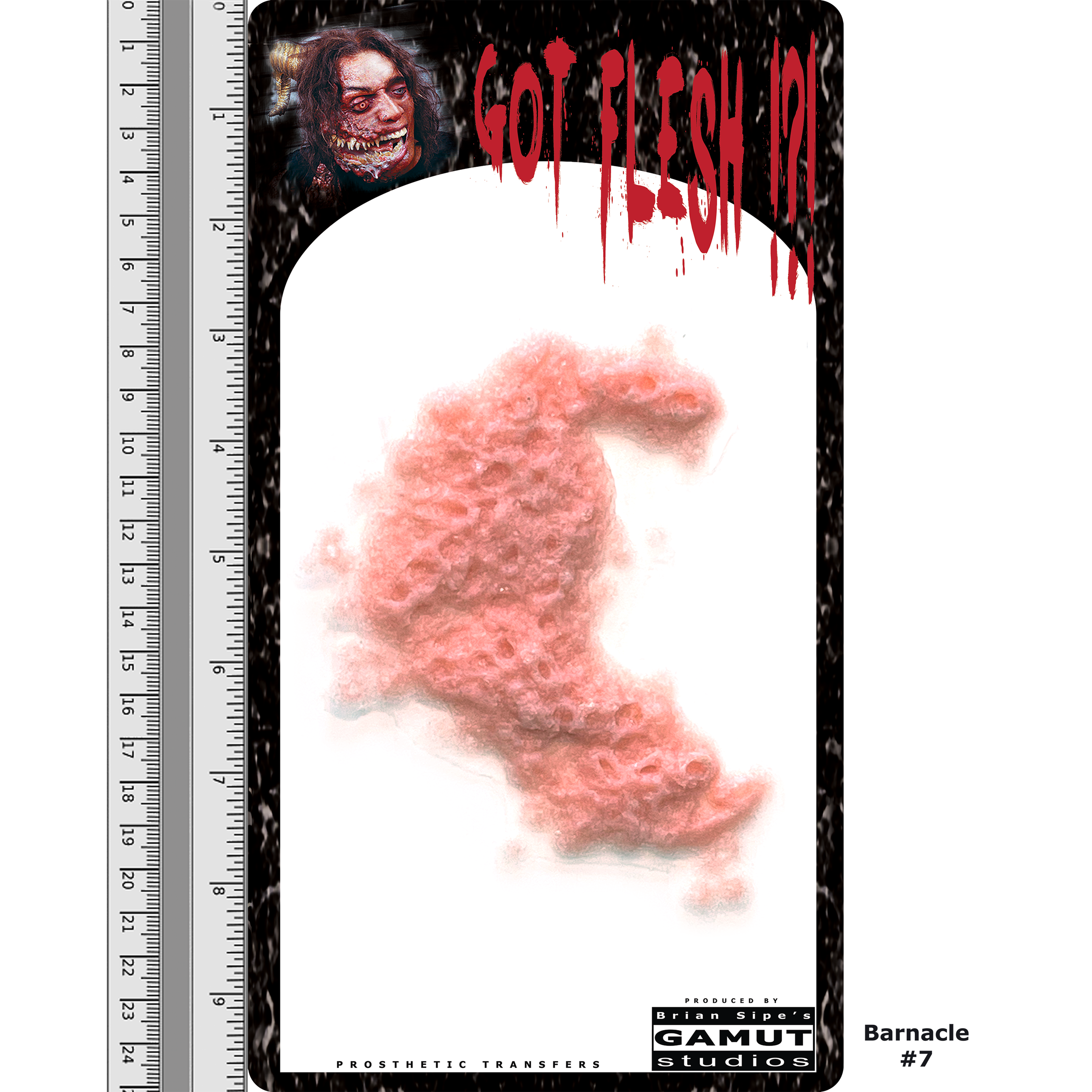 GFCR032 - Creatures - Barnacle 7 - 2.9.2025 - DDL03.png