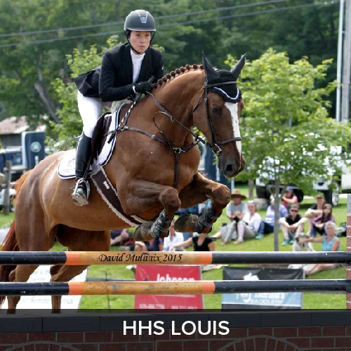 HHS Louis