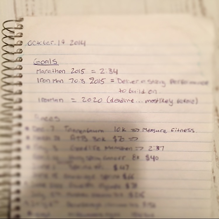 Writing down goals is a practice that I have taken after Krista DuChene . 