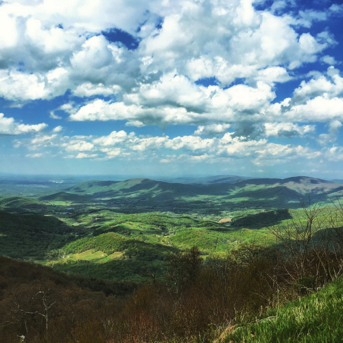 Quintessential Shenandoah