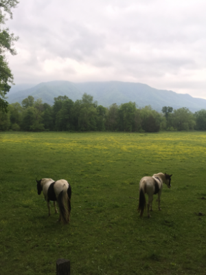 Cades Cove