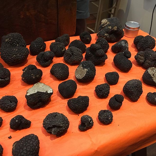 Walked into @spicestationsilverlake and they had these amazing black truffles from Italy - the last of the season. Coming up at my house this week - grilled cheese with truffles...scrambled eggs with truffles...#culinary #gourmetfood #gourmet #losang