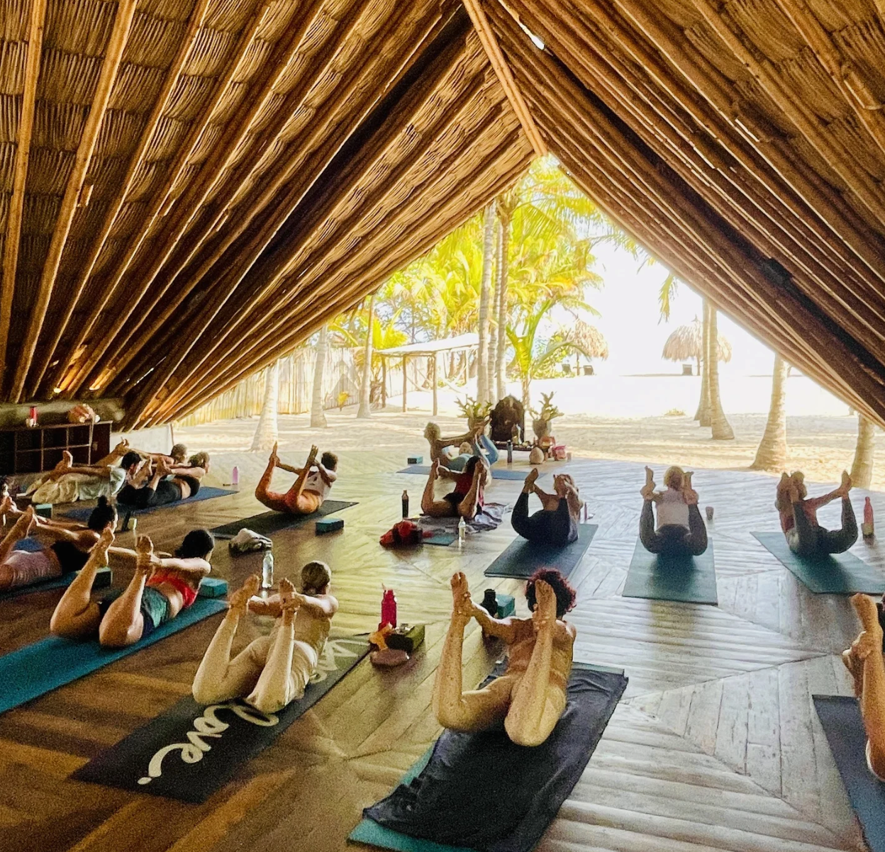 Jaguar Jungle Creative Lab