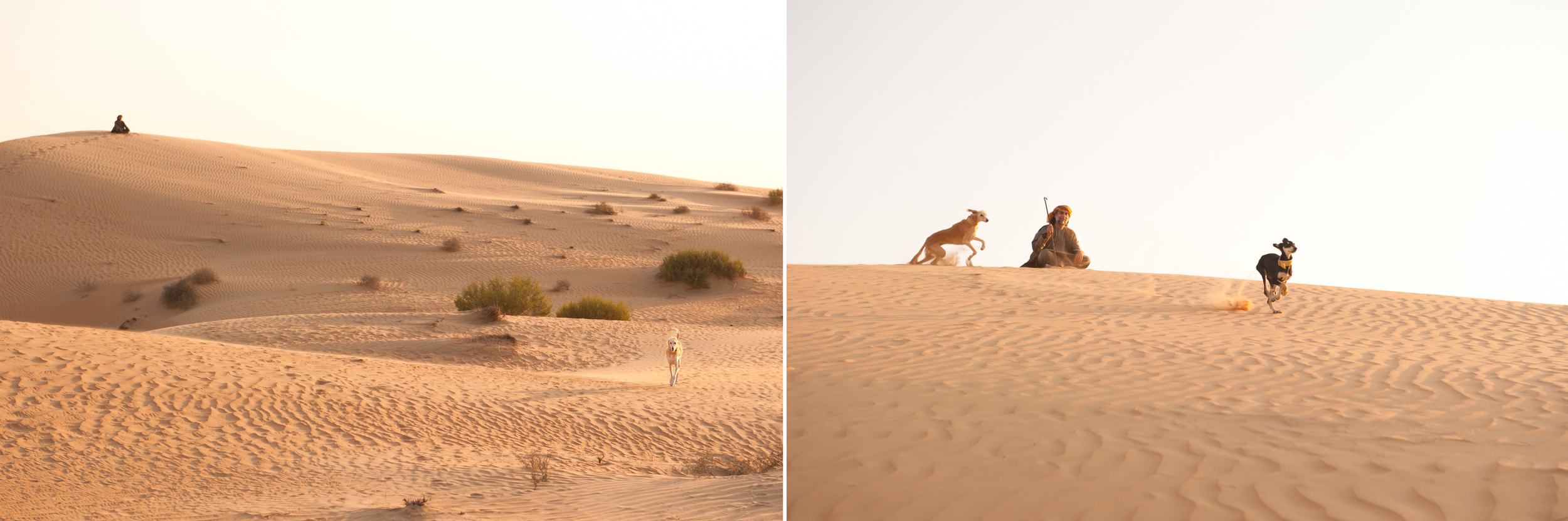 Hamad Al Ghanem (saluki breeder, UAE)