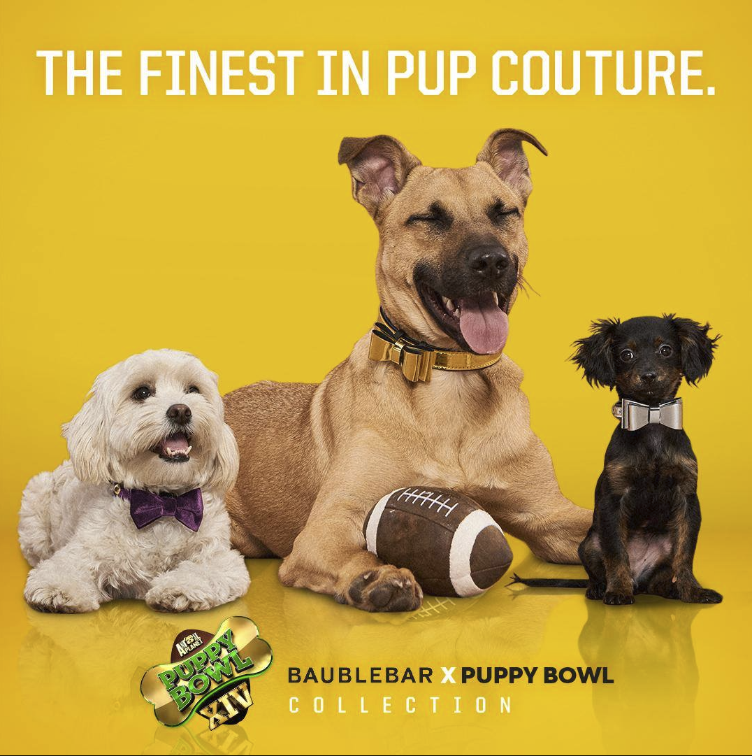BaubleBar x Puppy Bowl