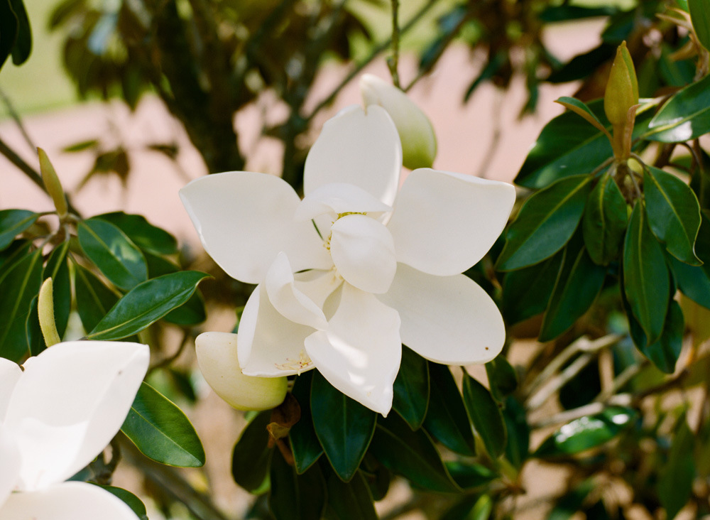 Hidden Acres Real Wedding | Lauren & Bryce | Gillian Claire Photography