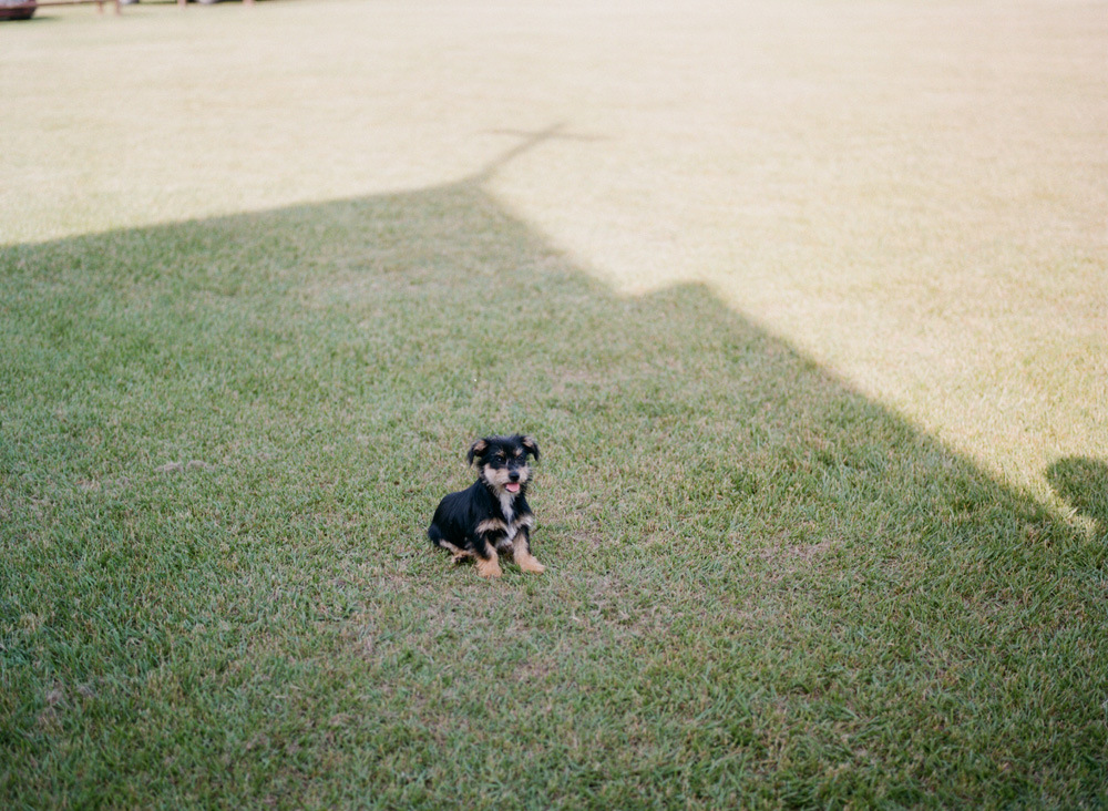 Hidden Acres Real Wedding | Lauren & Bryce | Gillian Claire Photography