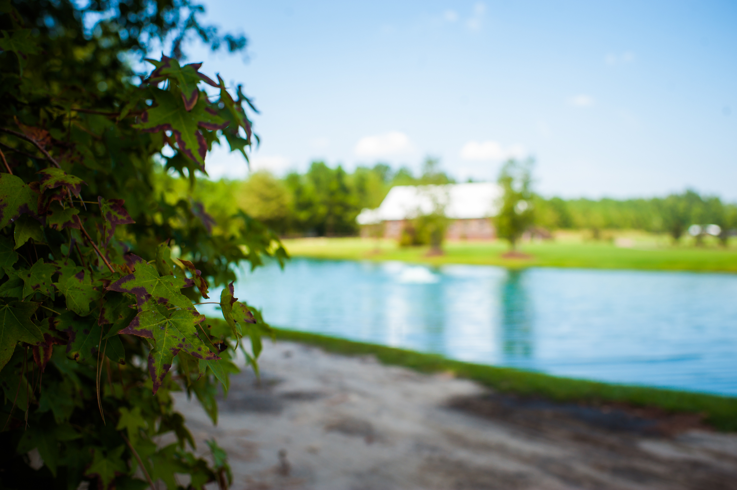 Hidden Acres Ceremony Pond | Photographs by Andrea