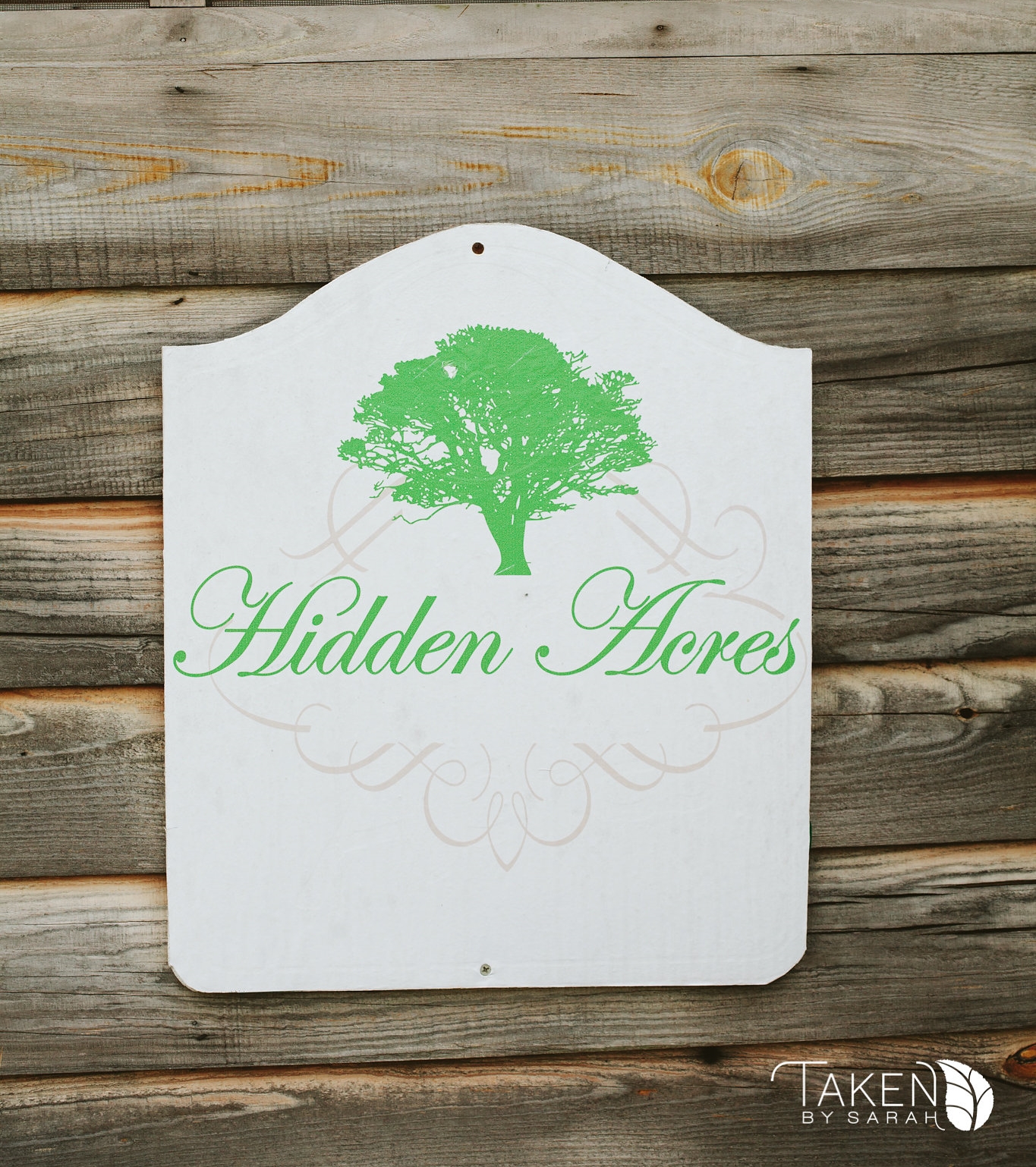 Hidden Acres Real Wedding | Meredith & Jason | Taken by Sarah Photography