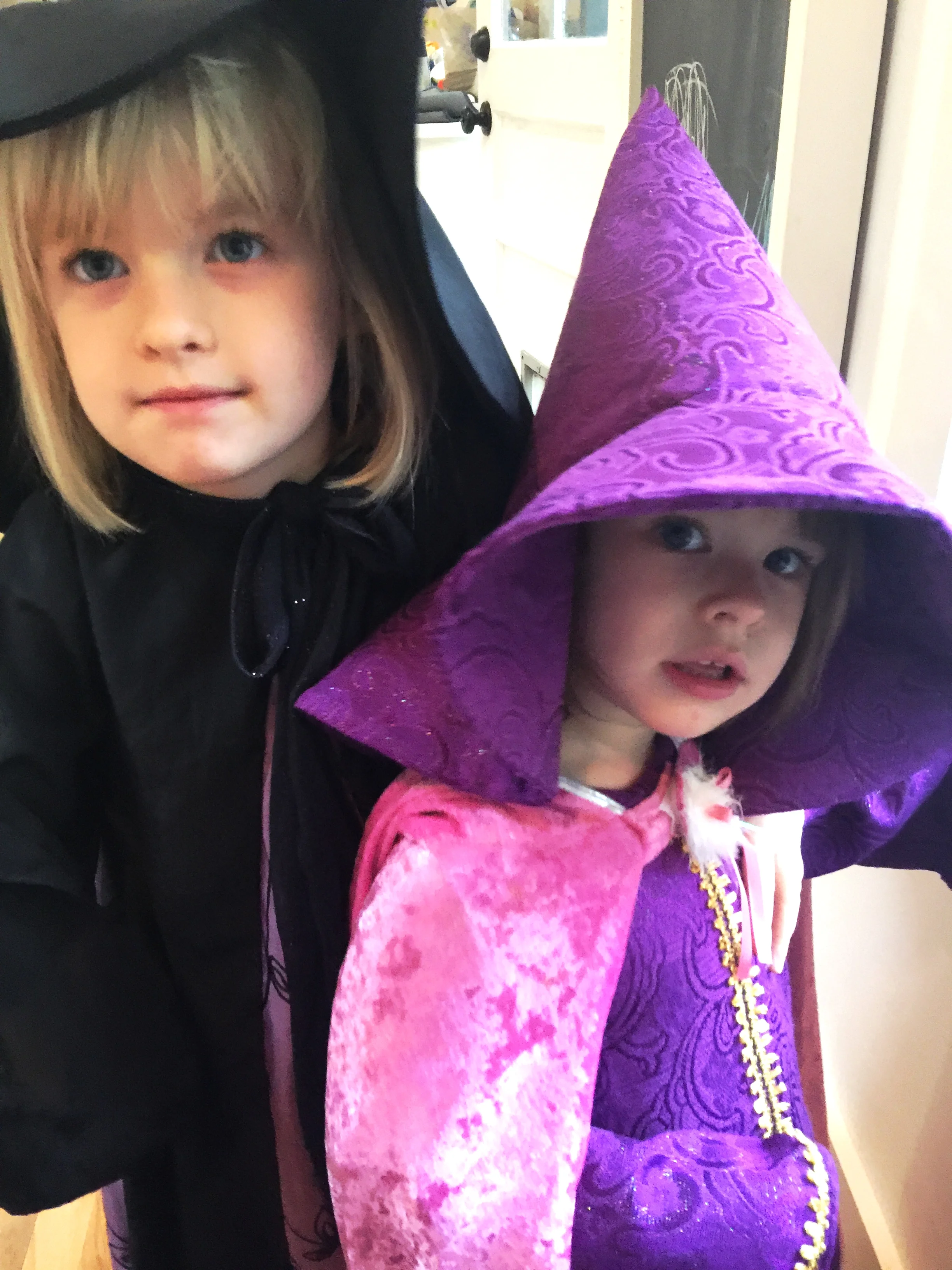 My girls in their fabulous Grandma-made costumes