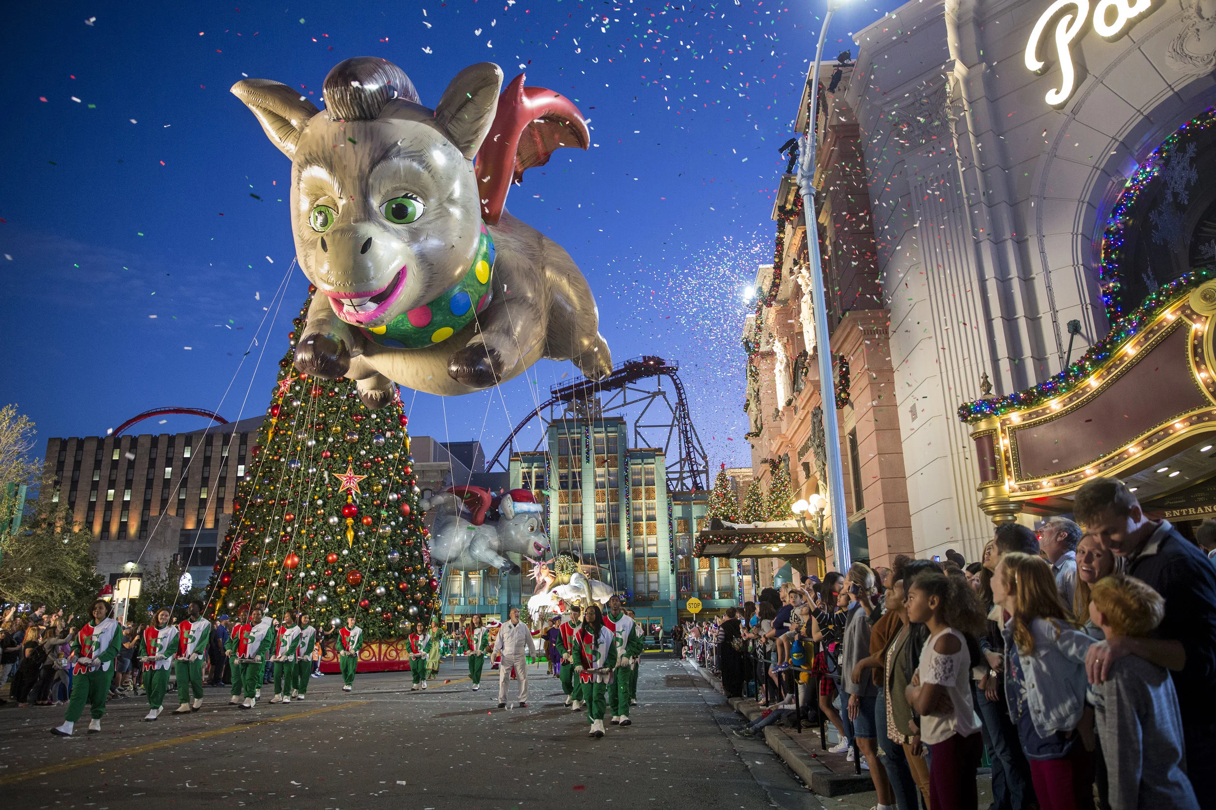SN9A4228.jpg