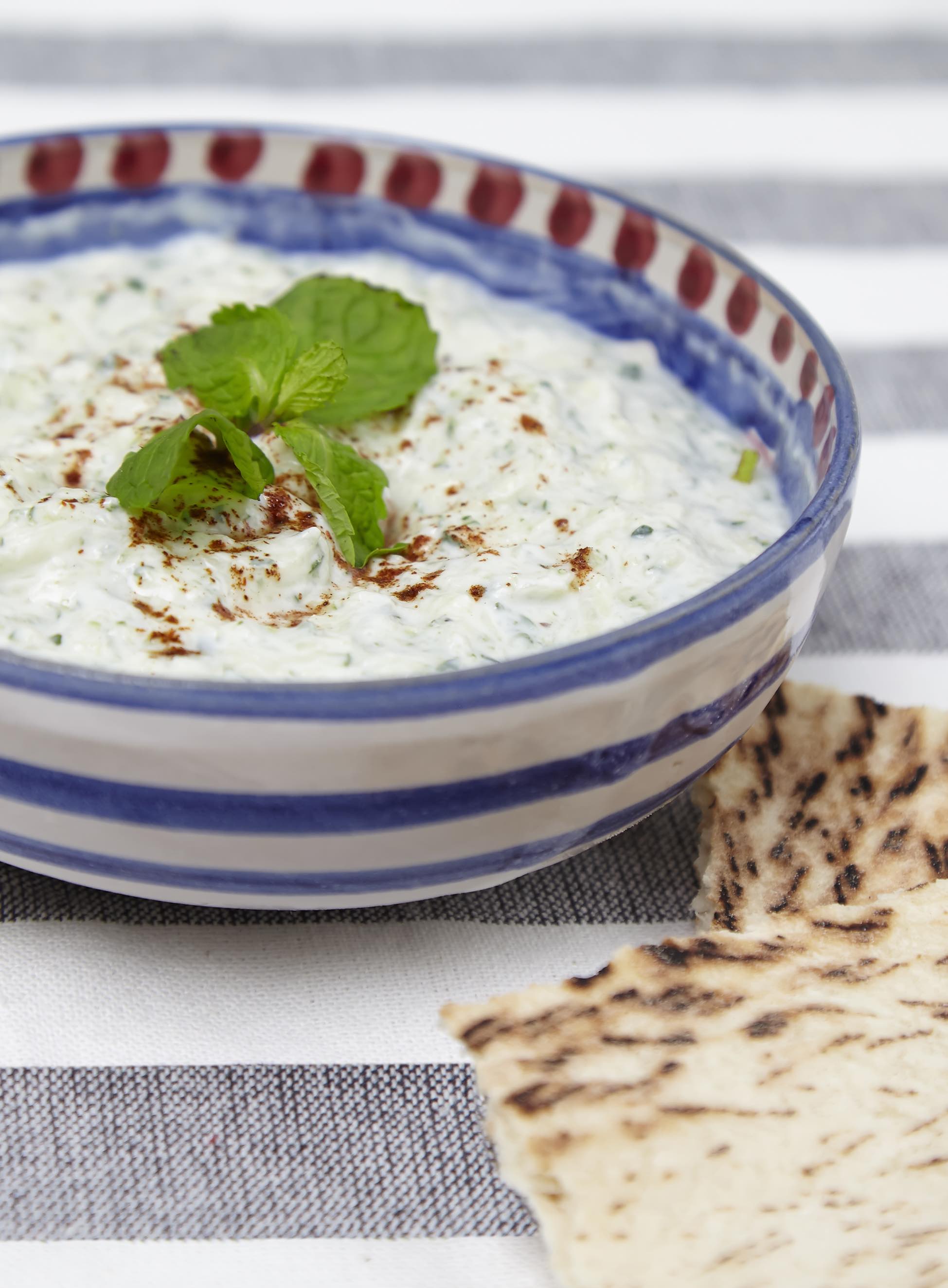 Tzaiziki 475 final book crop for folder.jpg