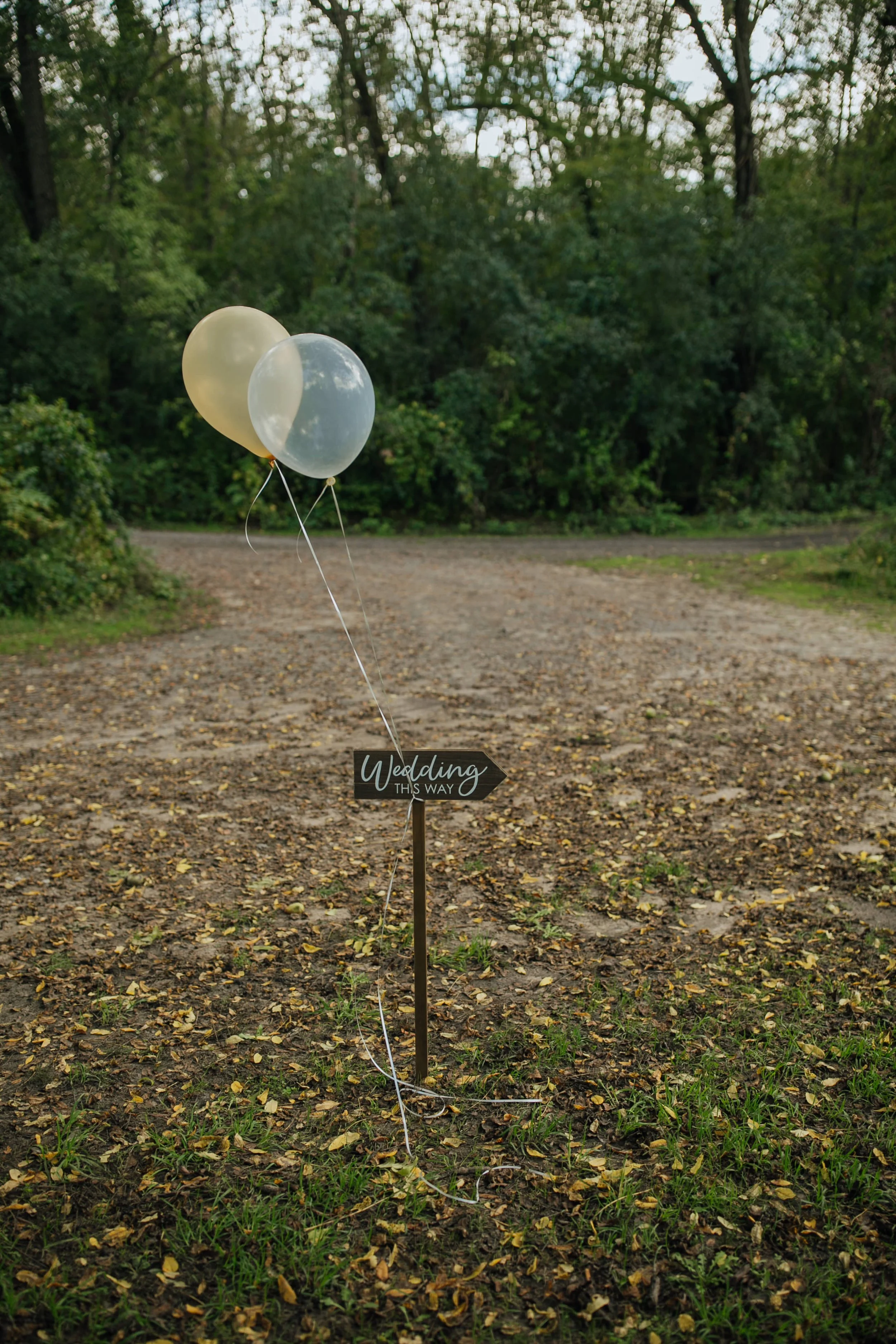 2021-10-Julie-Jon-Ceremony-Clarkston-Wedding-Michigan-Wedding-Photographer-1.jpg