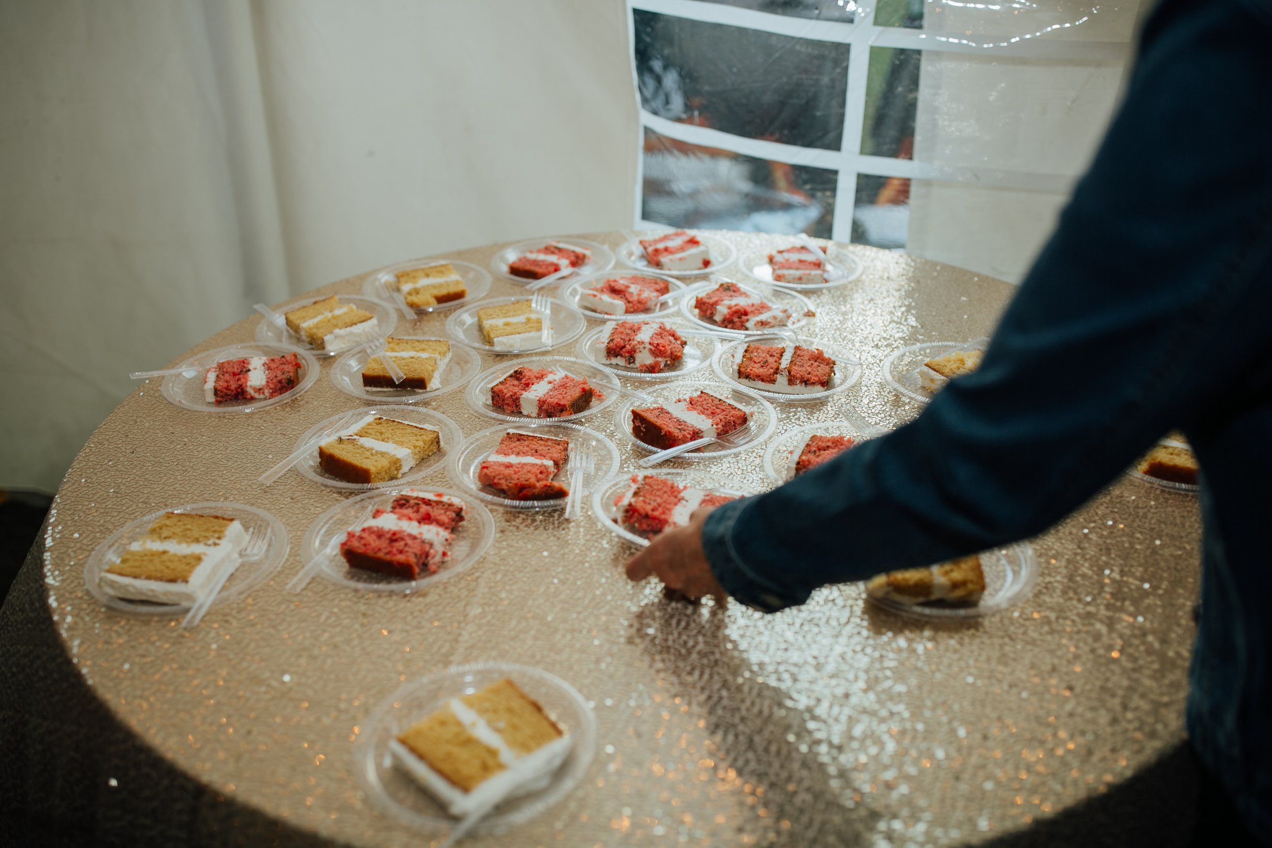2021-10-Julie-Jon-Reception-Clarkston-Wedding-Michigan-Wedding-Photographer-122.jpg