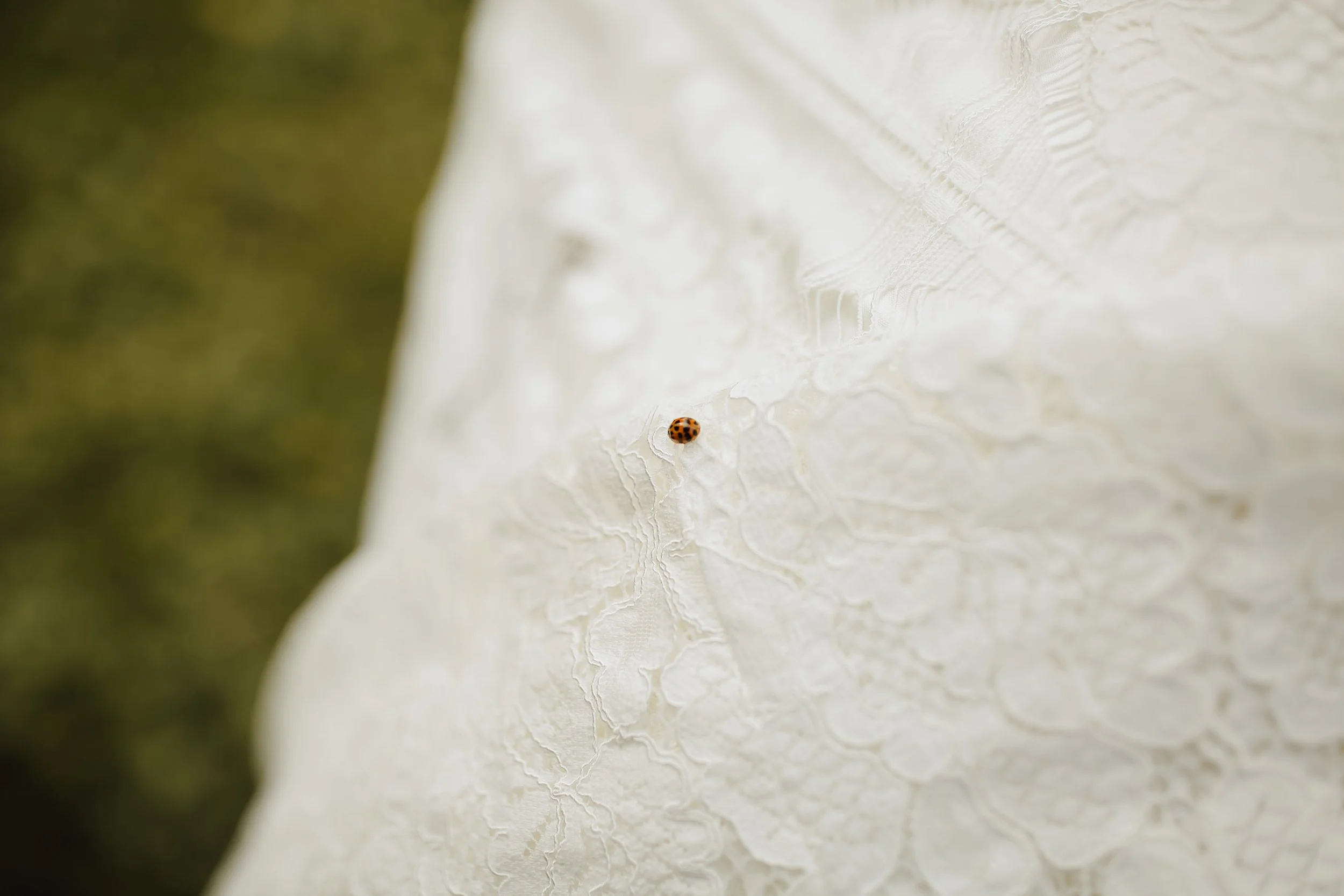 2019-10-Megan-Alex-Bridal-Portraits-Grand-Rapids-Wedding-Michigan-Wedding-Photographer-301.jpg
