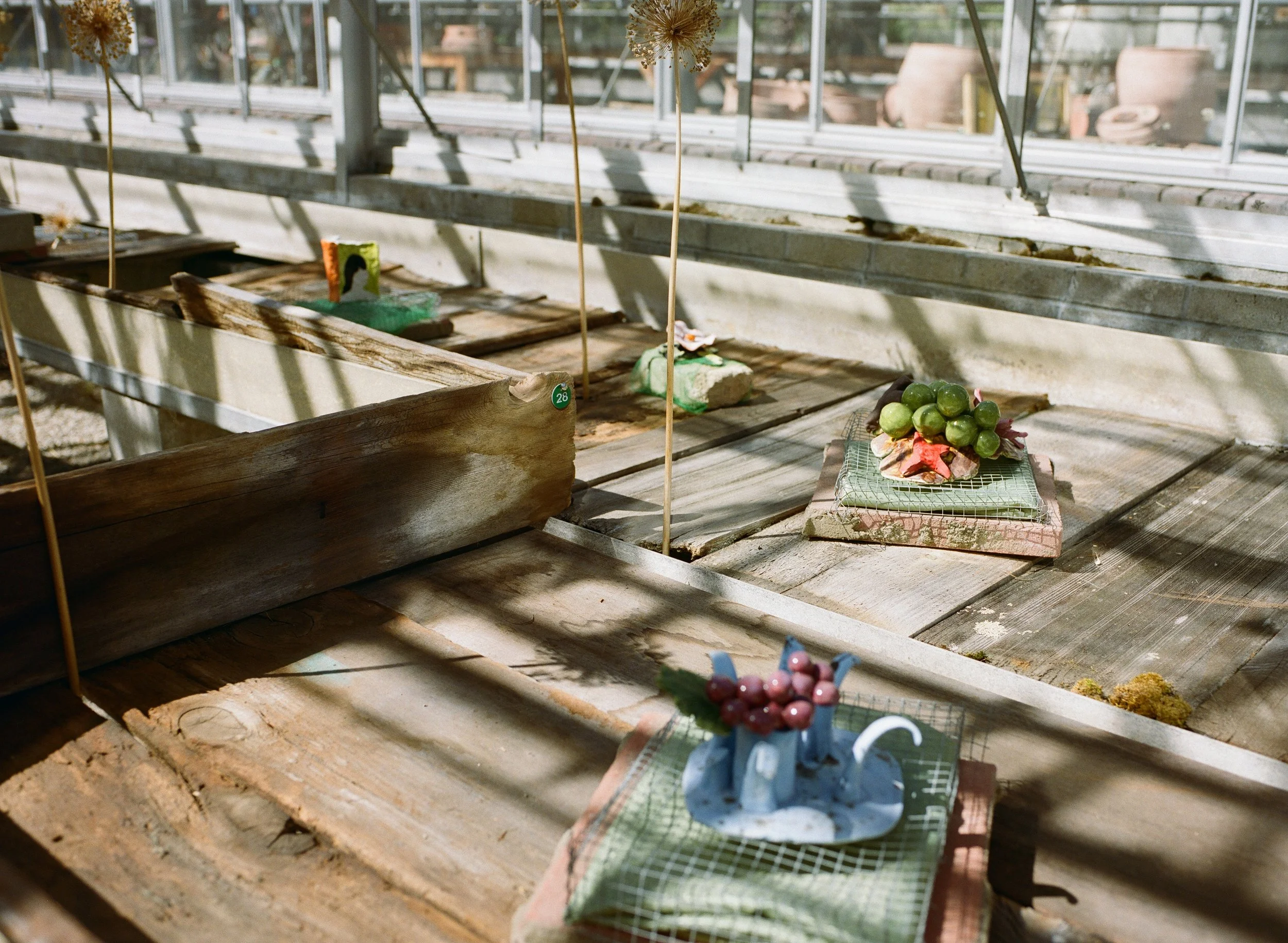 Installation View : Salad Days Exhibition,  curated by Mimi Pineheiro, photo credit Christoper Rosonina