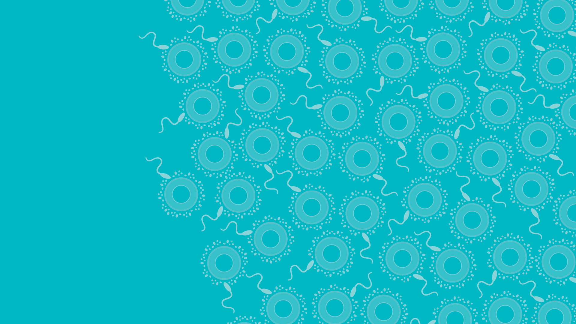 Pattern5.png