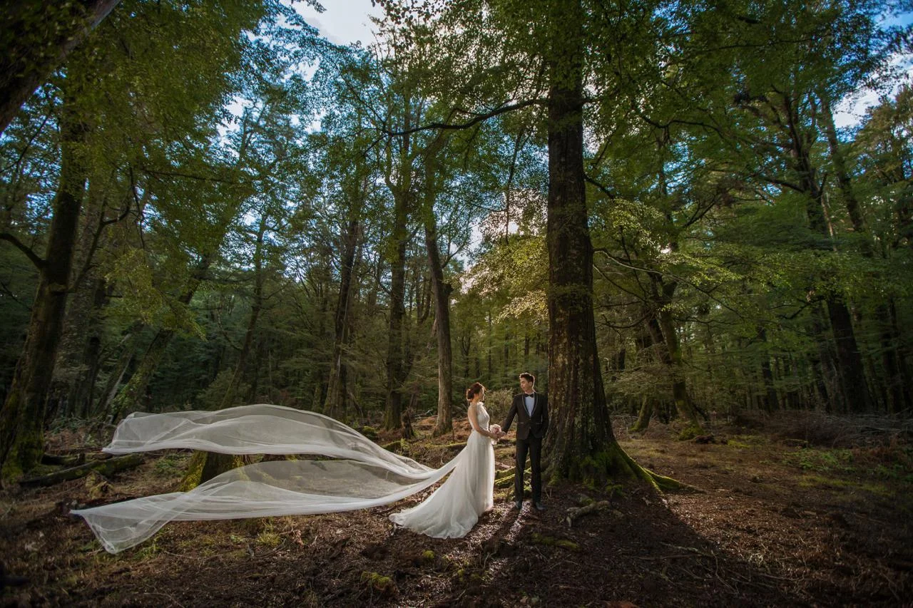 Natalie Lo PW20170809QTN-147-编辑.JPG