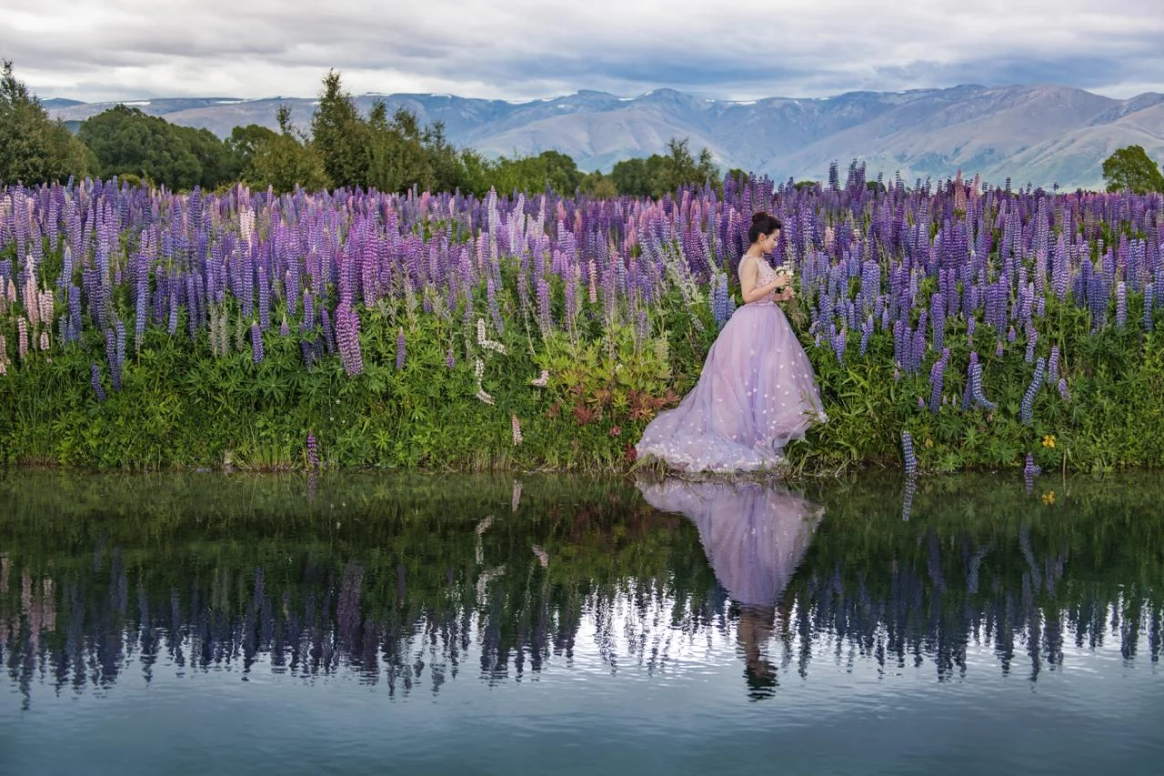 PW20161203QTN-486 1.JPG